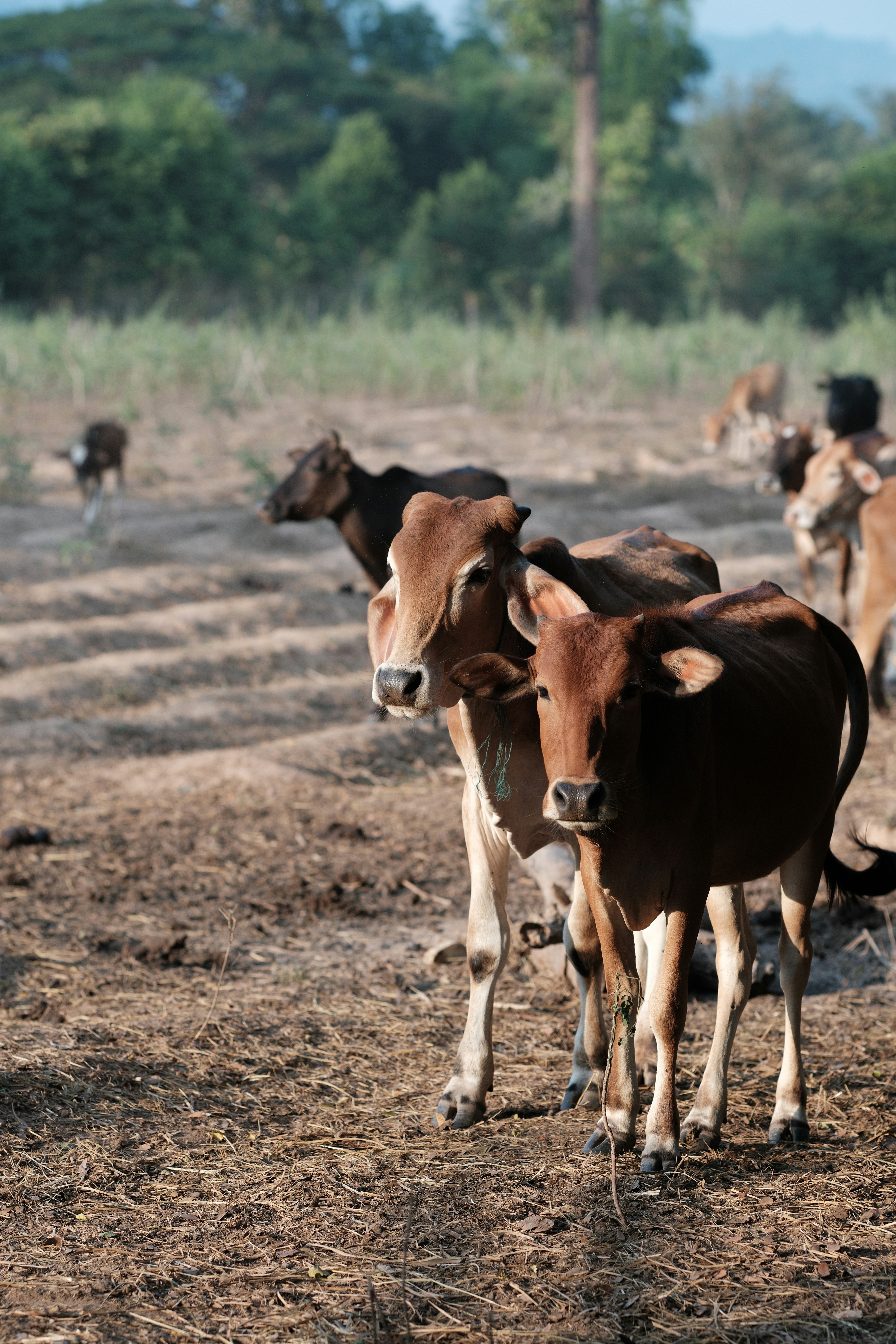 Photo by marcohaenssgen