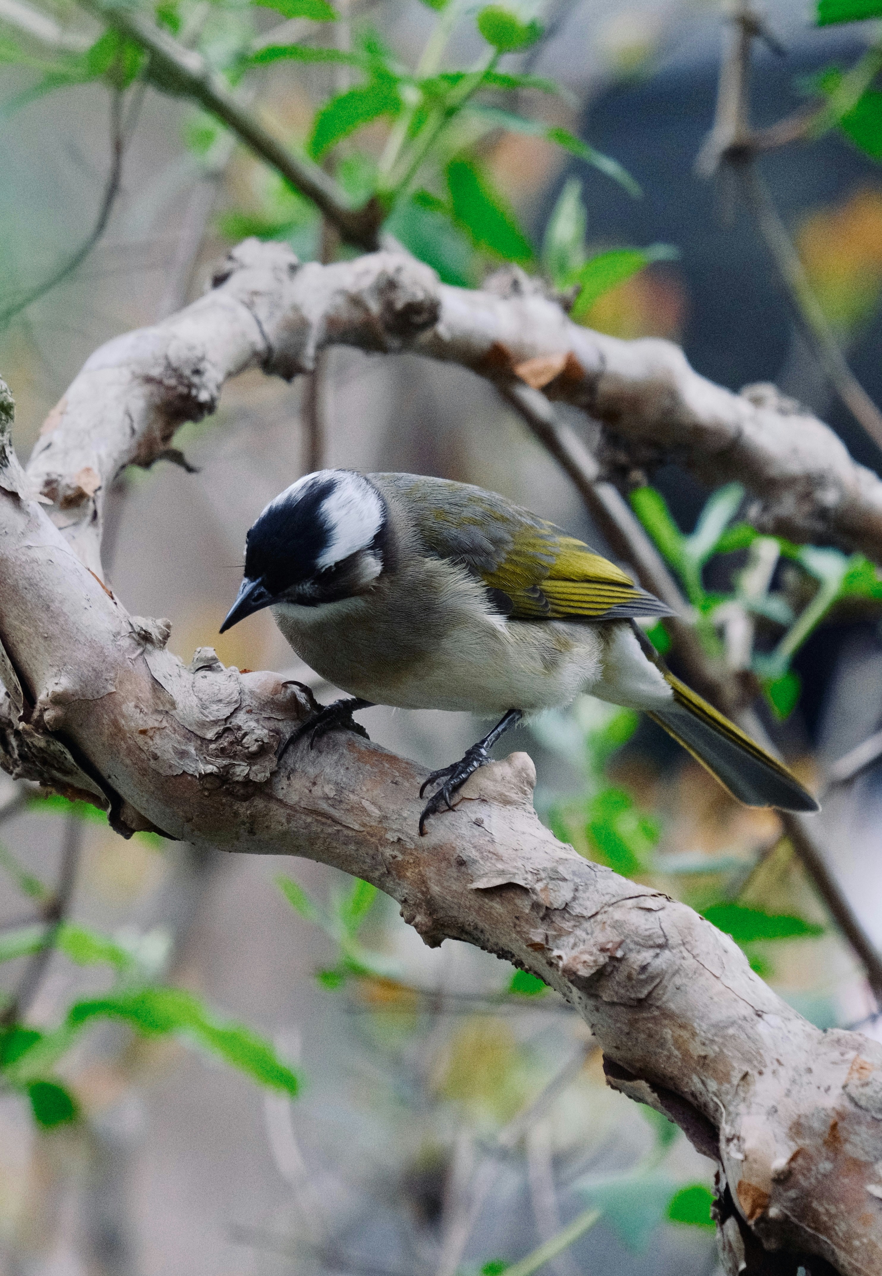 Photo by sinjintsang