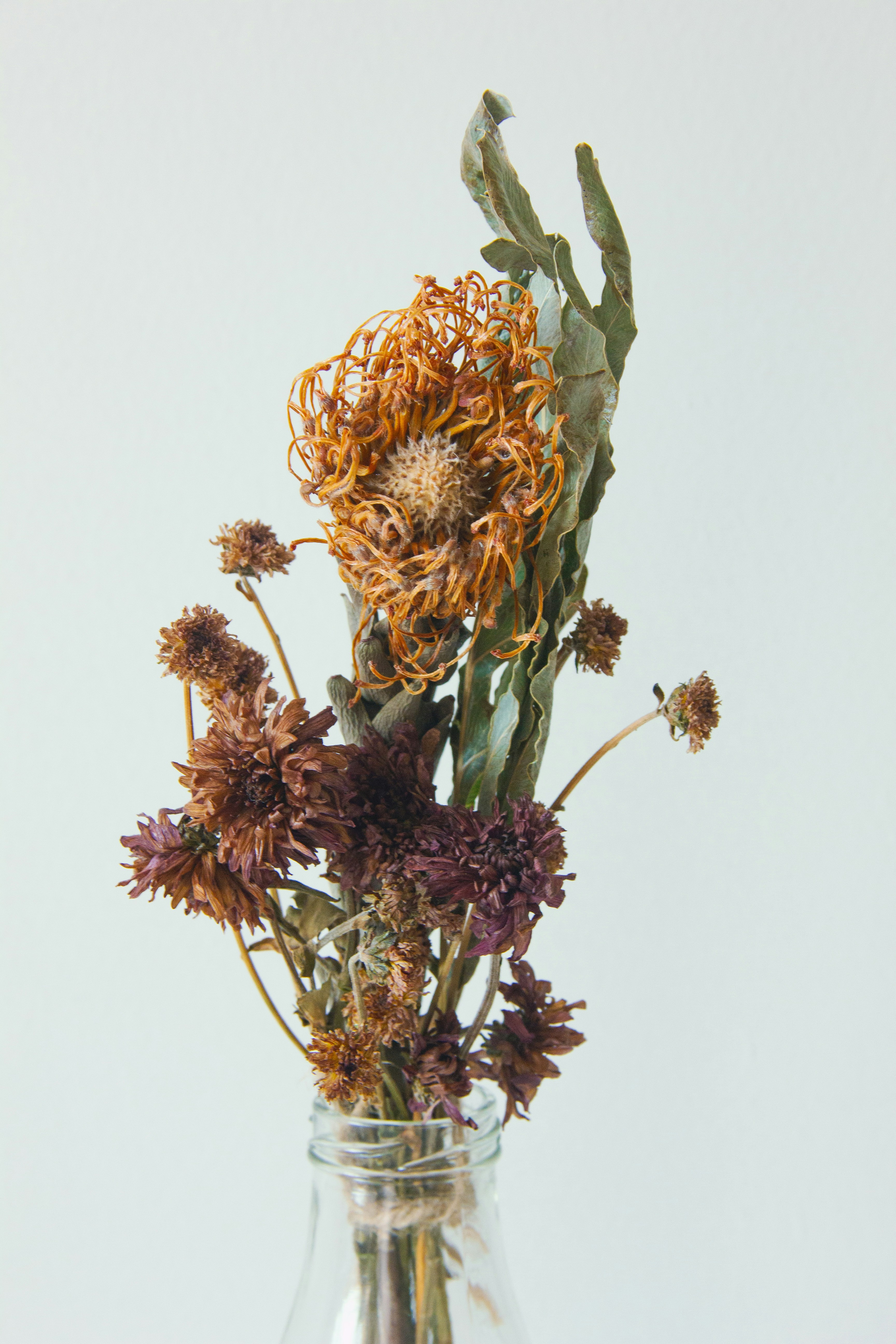 Photo by monicasinghdahiya