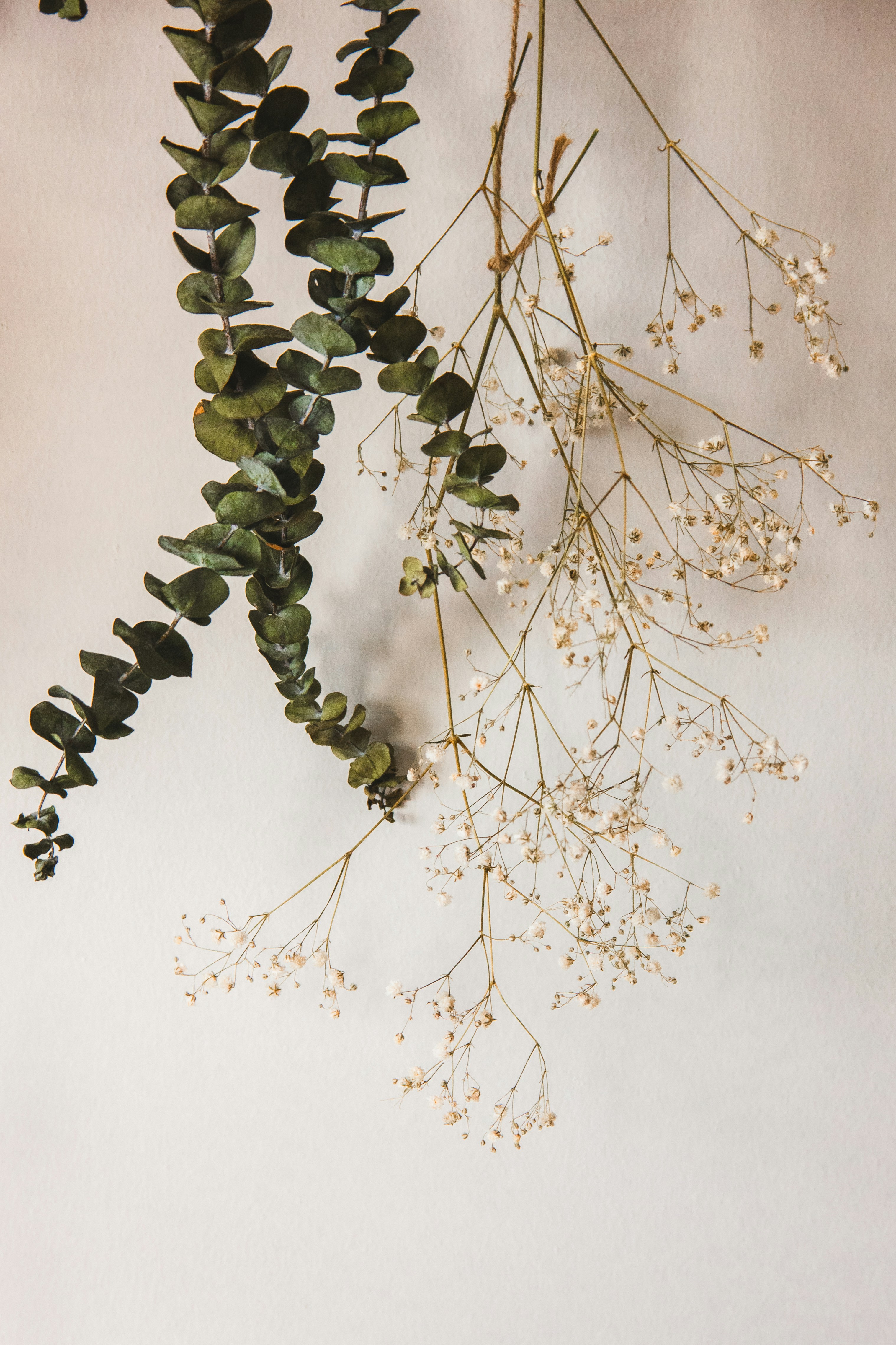 Photo by monicasinghdahiya