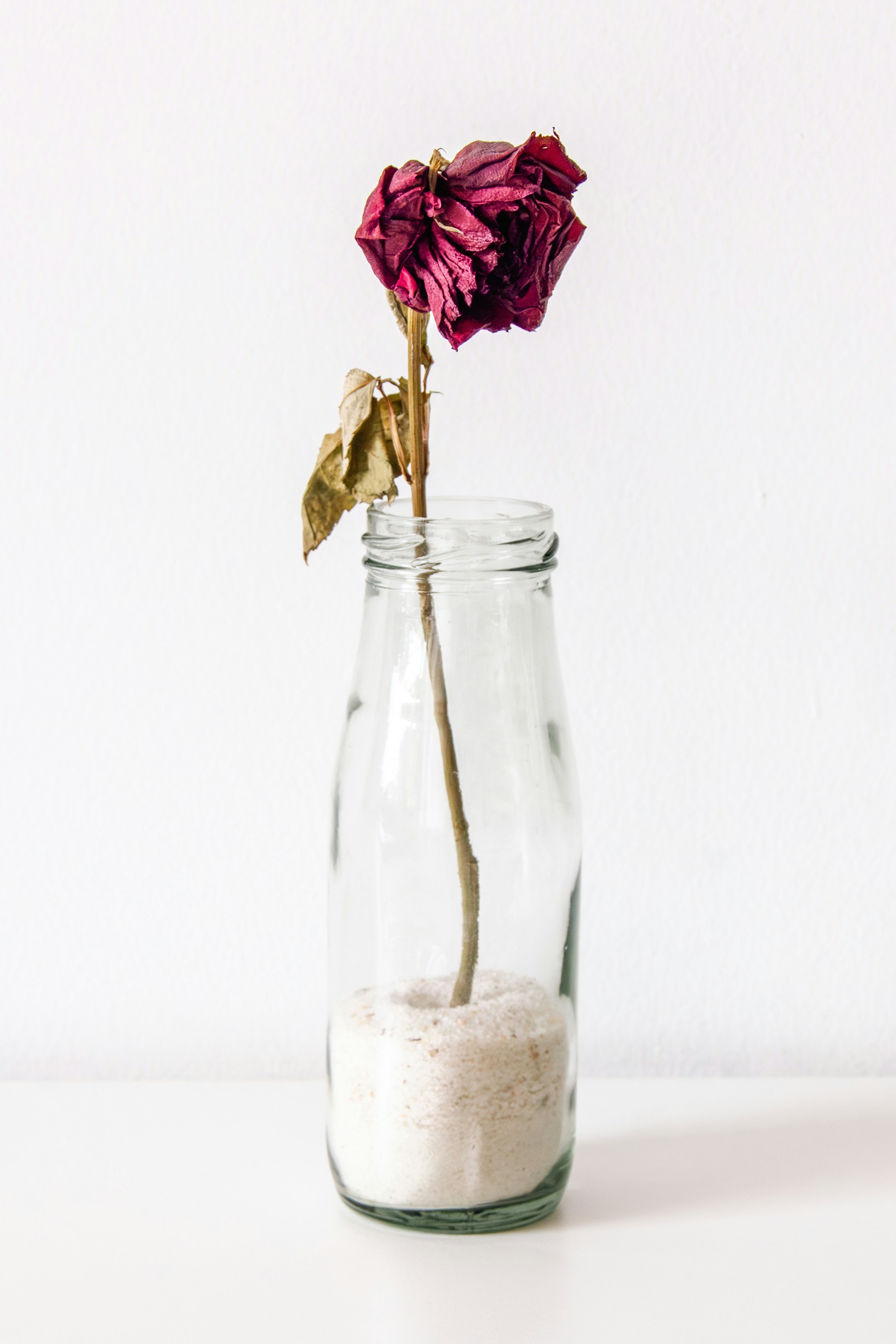A flower in a glass jar filled with sand