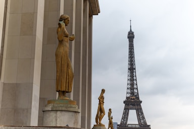 The eiffel tower towering over the city of paris