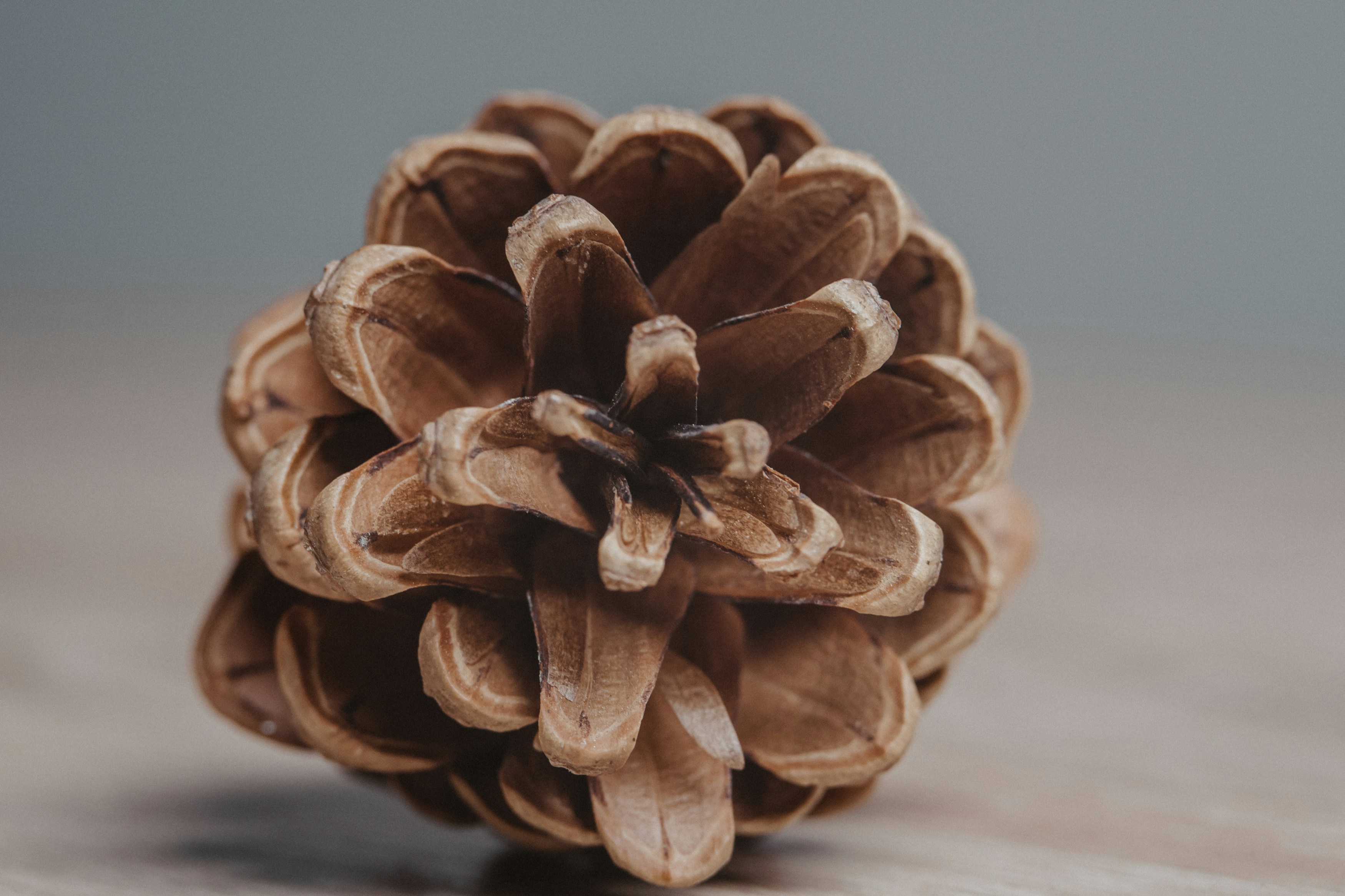 Photo by masoodaslami