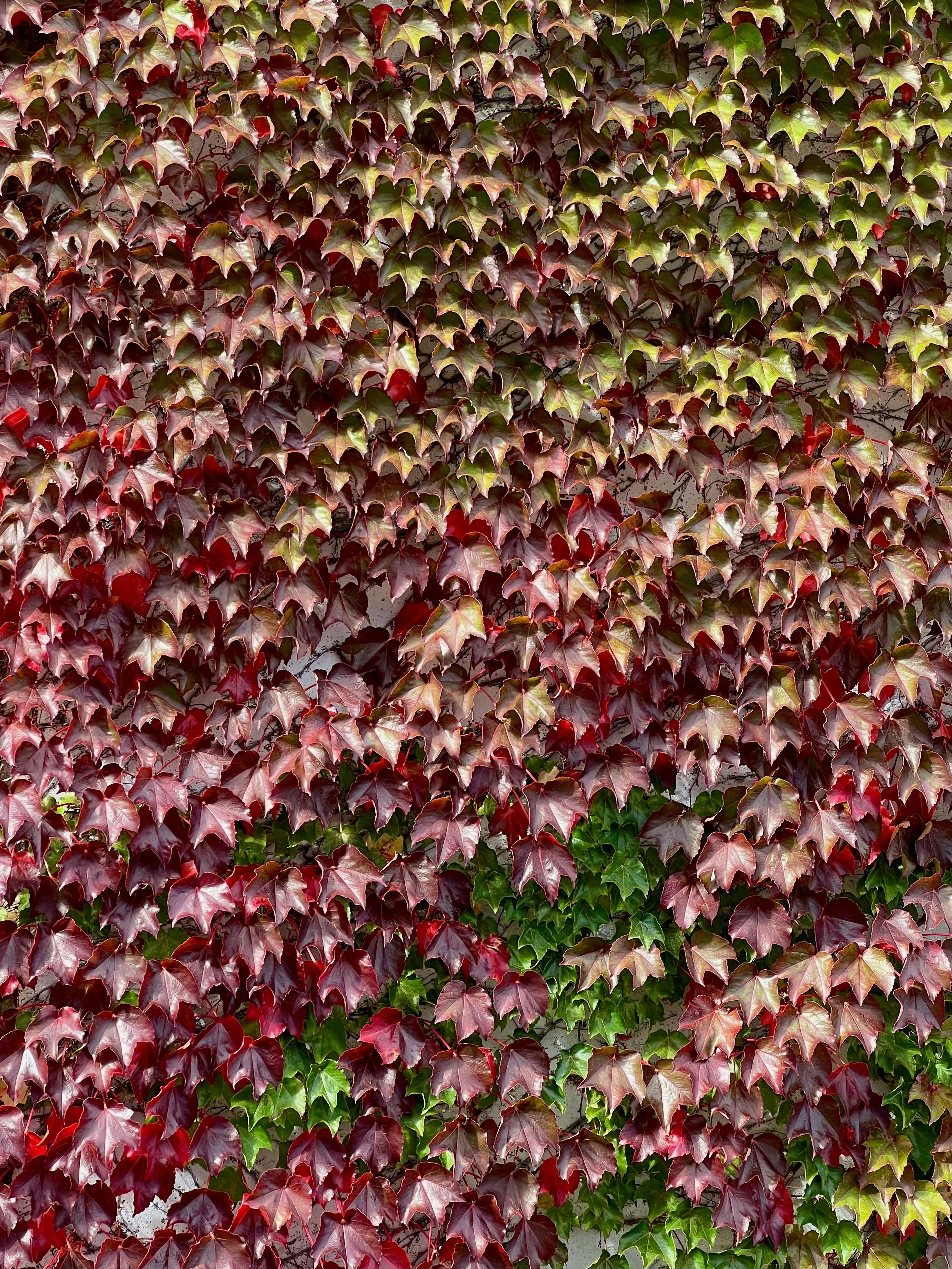 Photo by mike_loftus