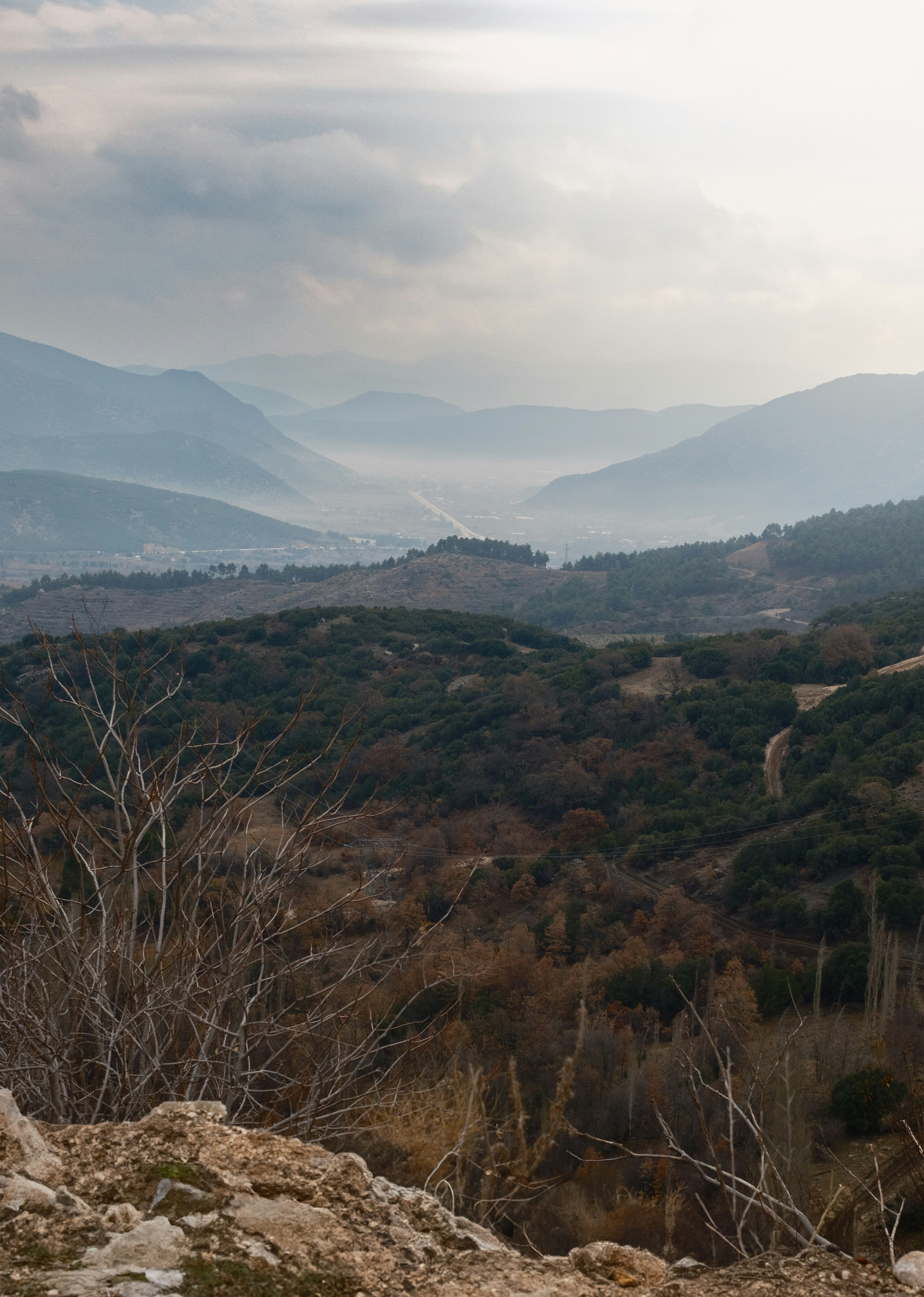 Photo by mrparalloid