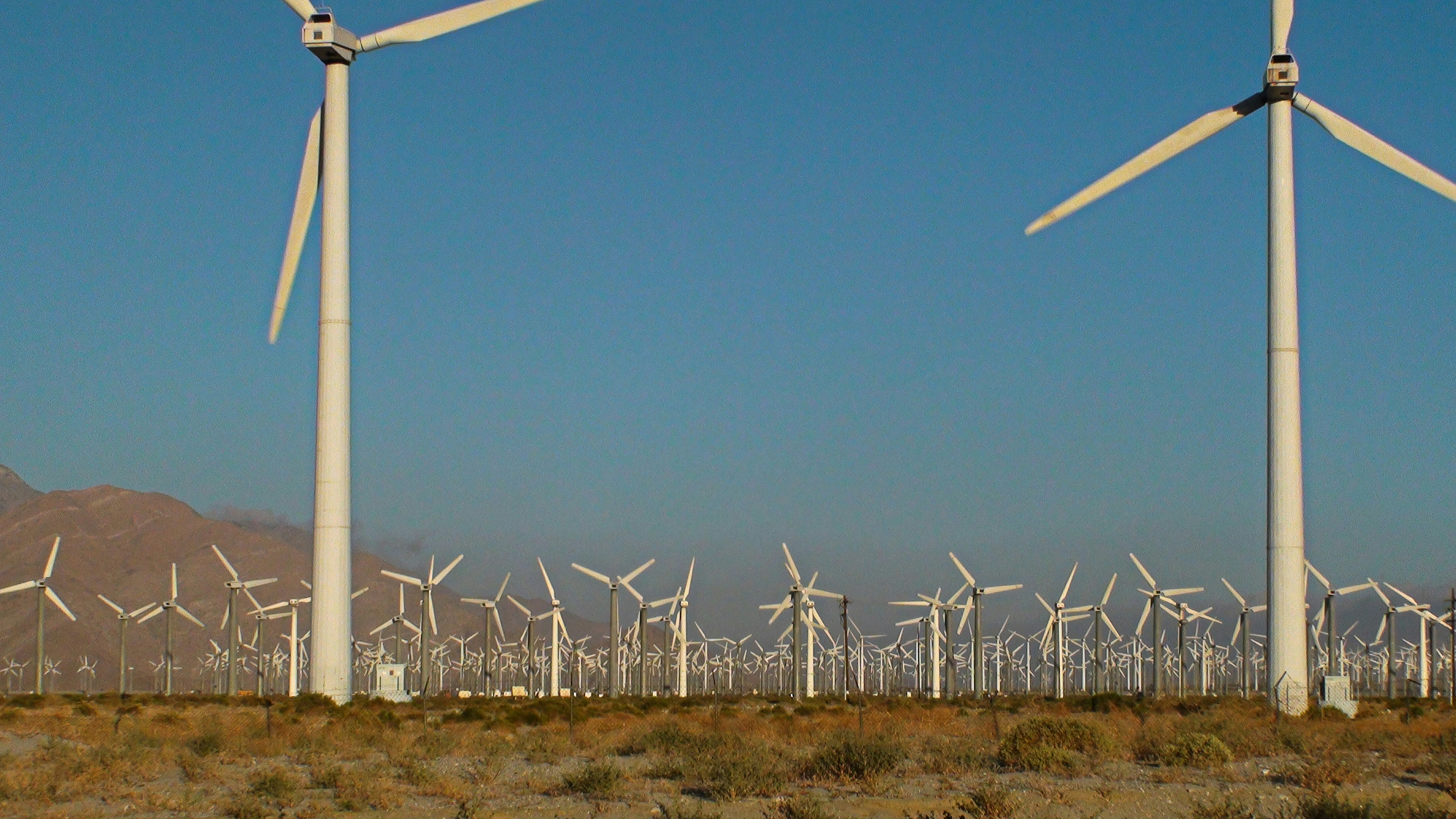 ABD'de yenilenebilir enerji sektöründe çalışan, güneş panelleri ve rüzgar türbinleri önünde başarıyı simgeleyen bir mühendis veya iş profesyoneli.
