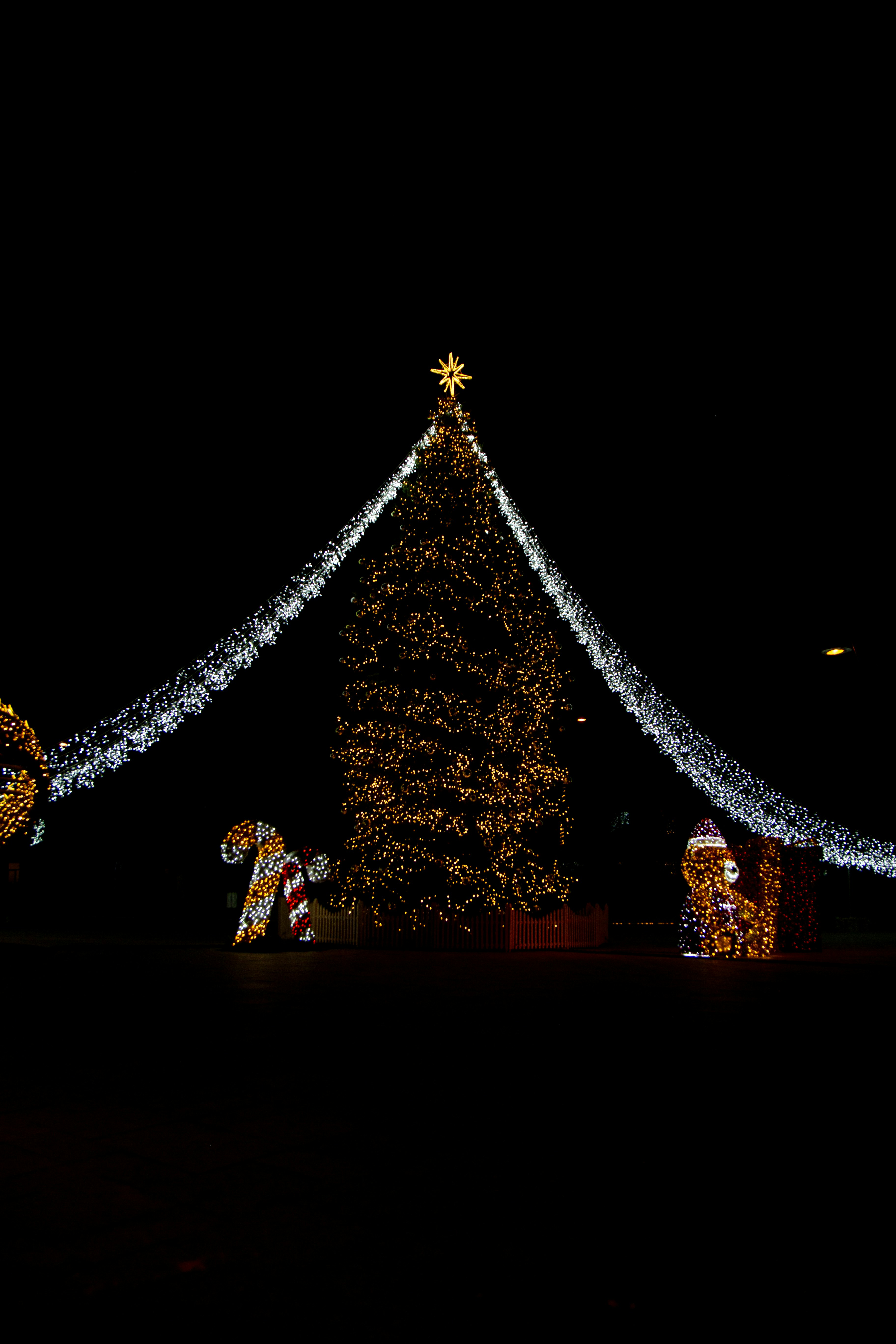 Un albero di Natale illuminato davanti a un edificio