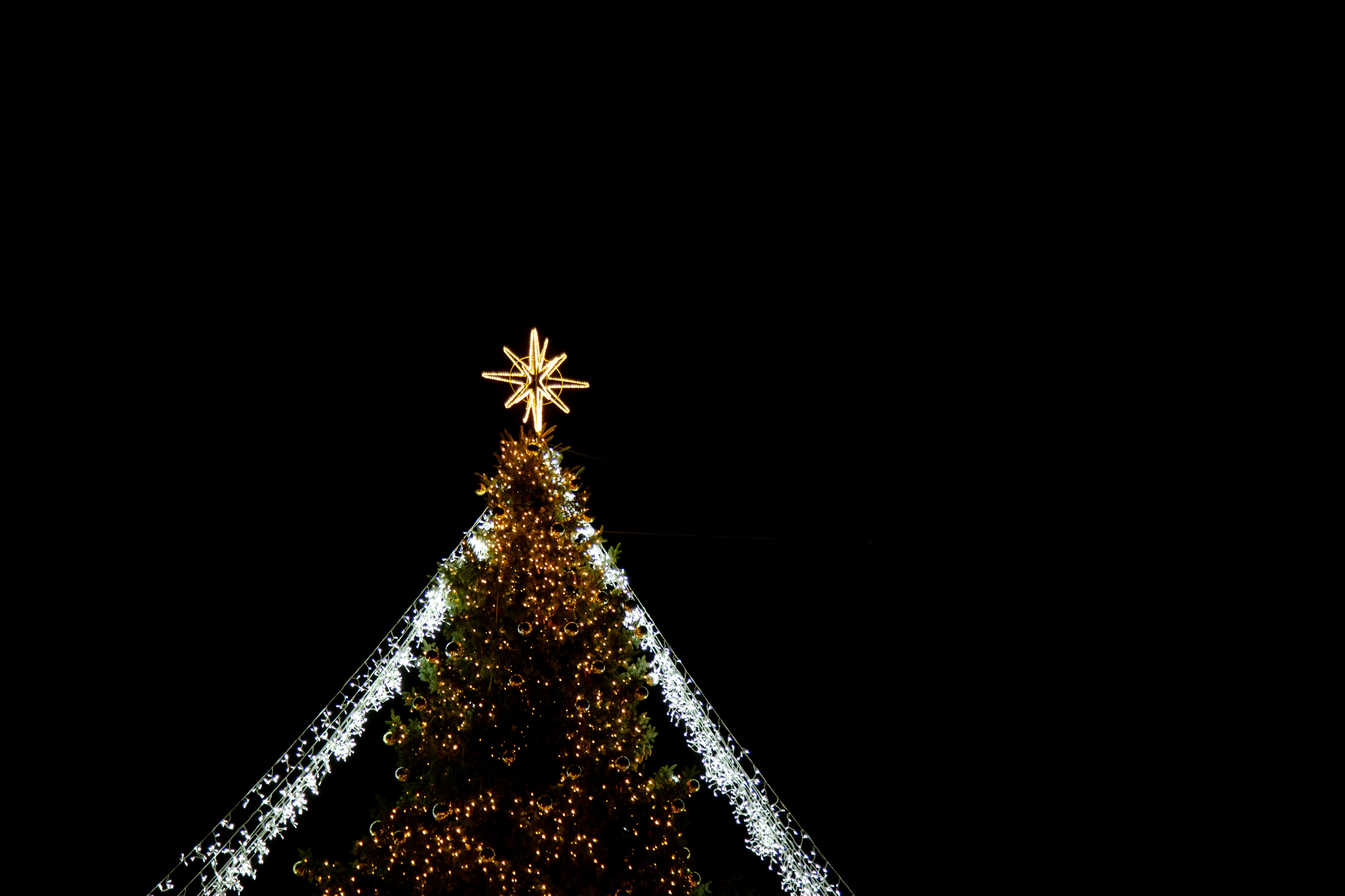 Un albero di Natale con una stella sopra
