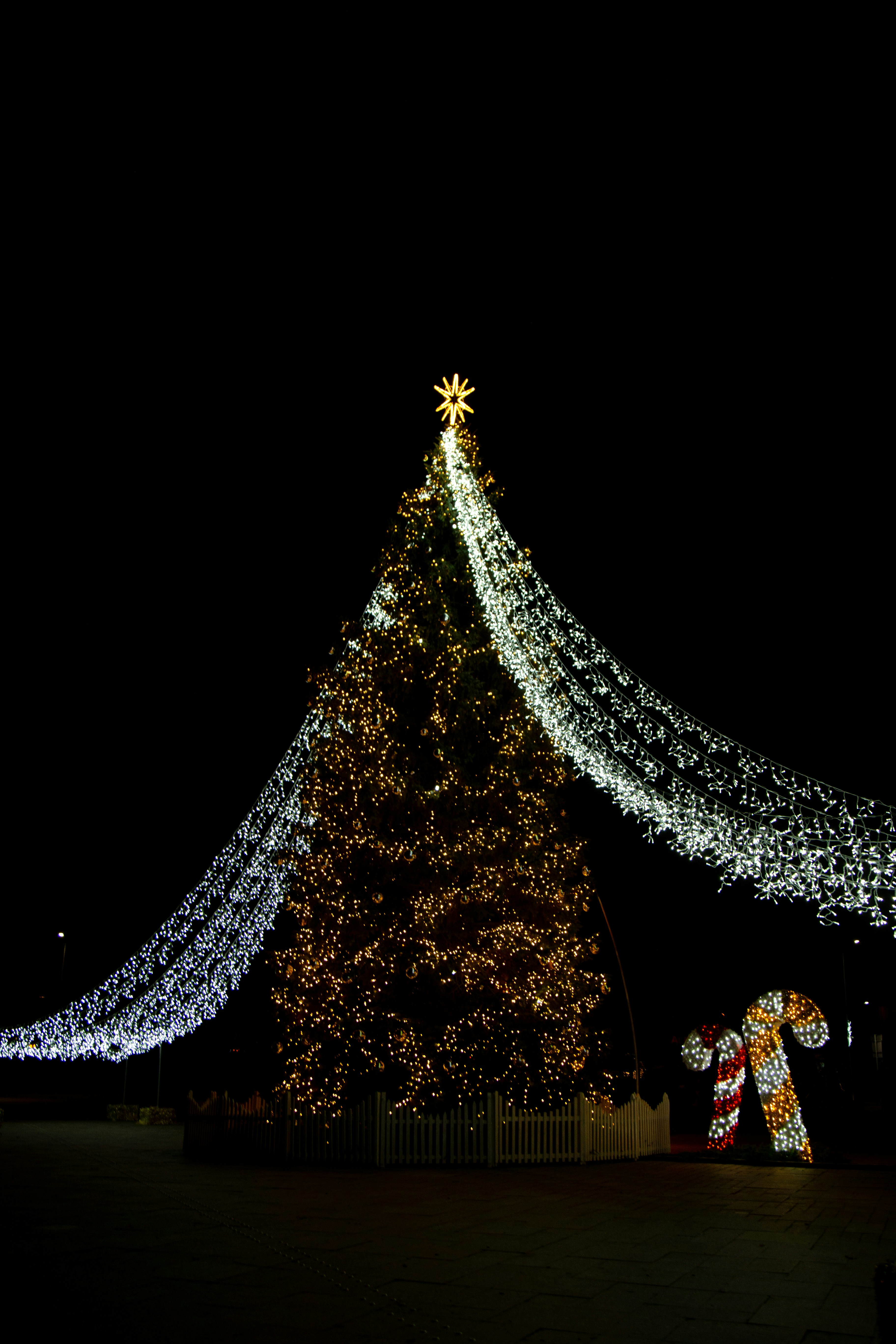 Un albero di Natale illuminato davanti a un edificio