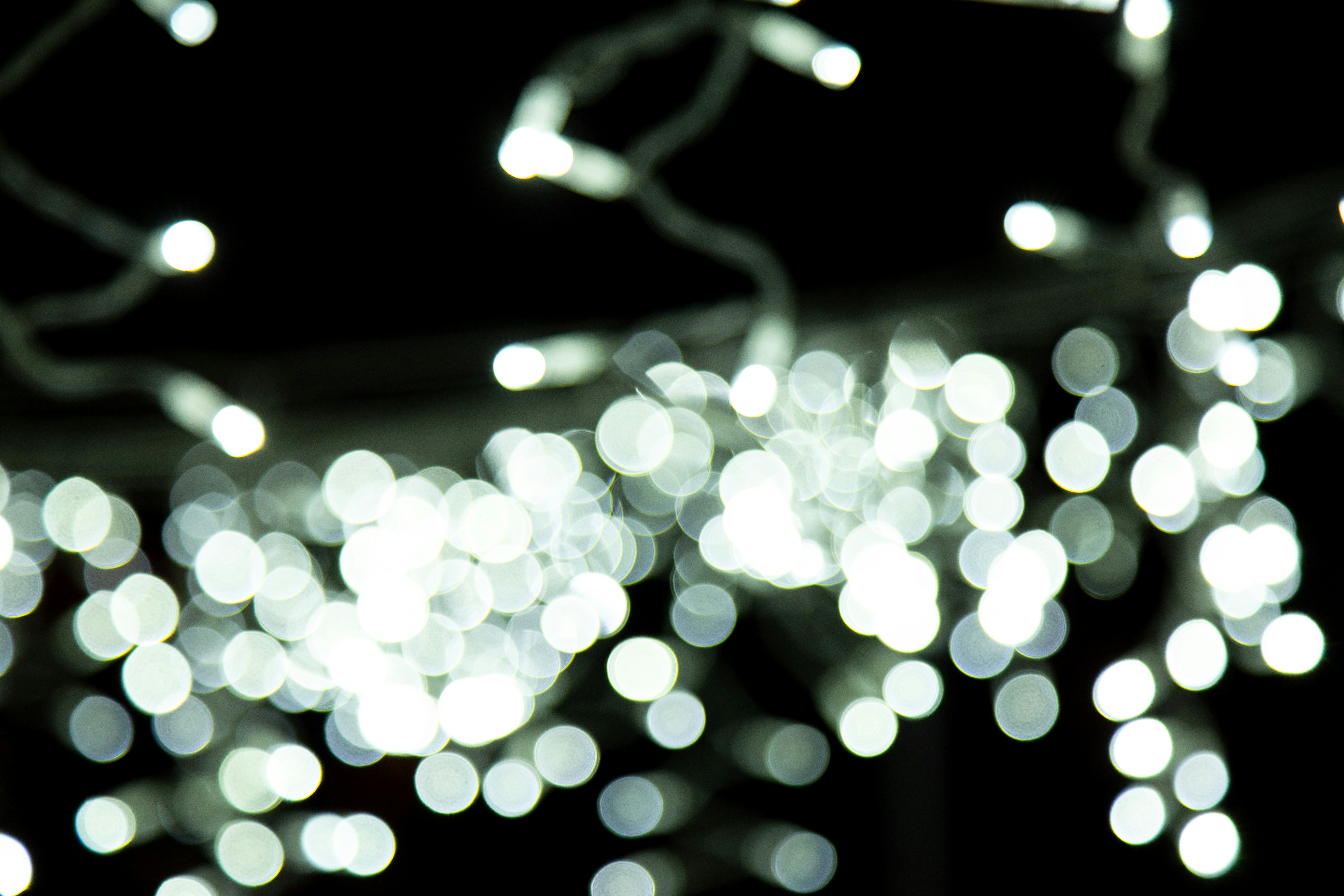 Una foto in bianco e nero di una stringa di luci