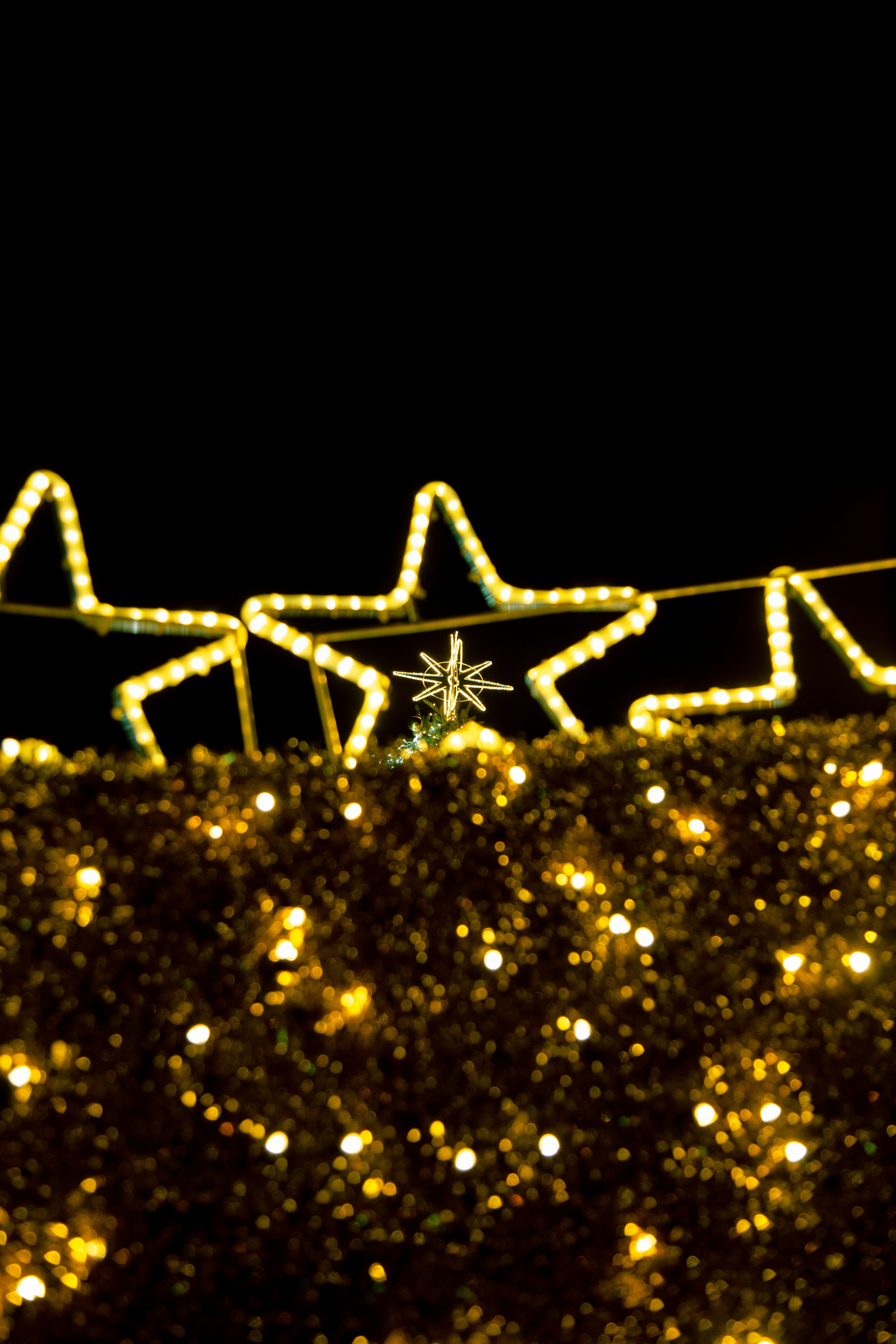 Una stringa di luci con sopra delle stelle