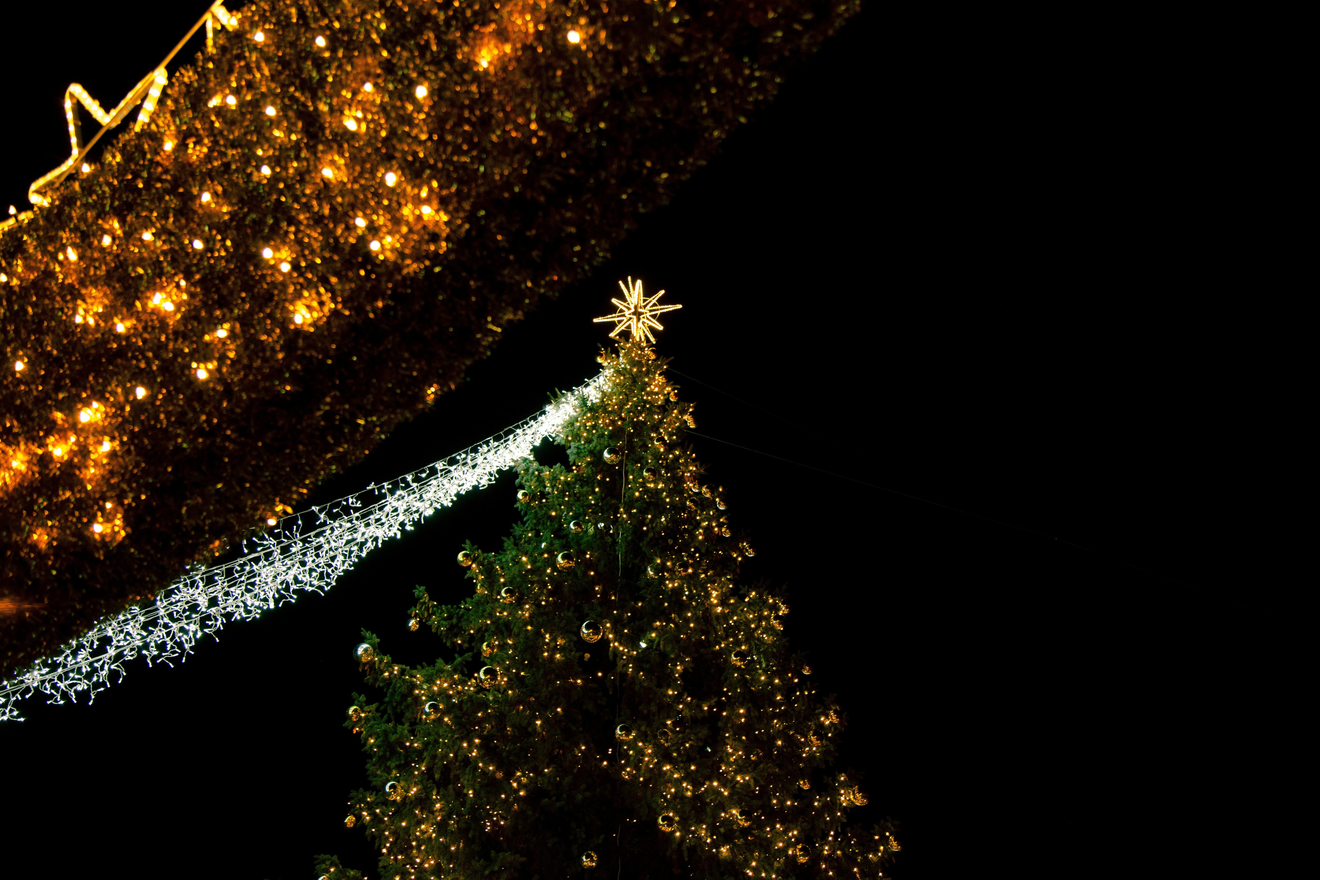 Un albero di Natale con una stella sopra