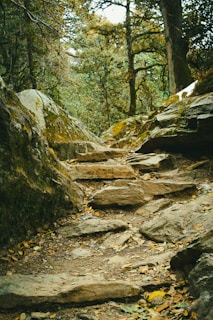 Leadership development phase to identify patterns, make better decisions, and build confidence.