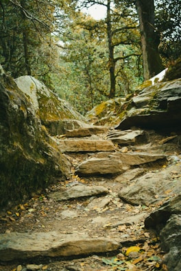 Leadership development phase to identify patterns, make better decisions, and build confidence.