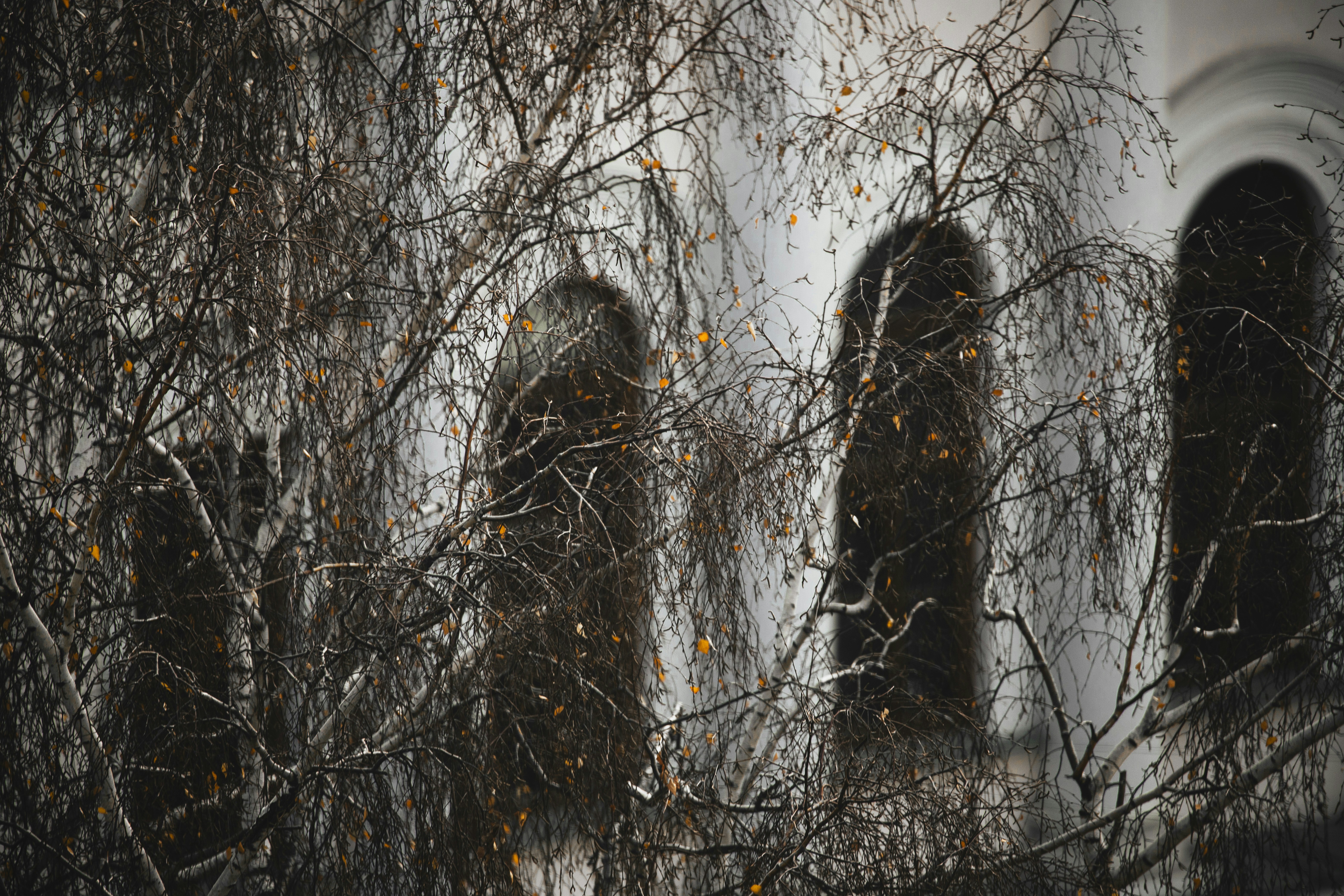 Photo by stef_enheart