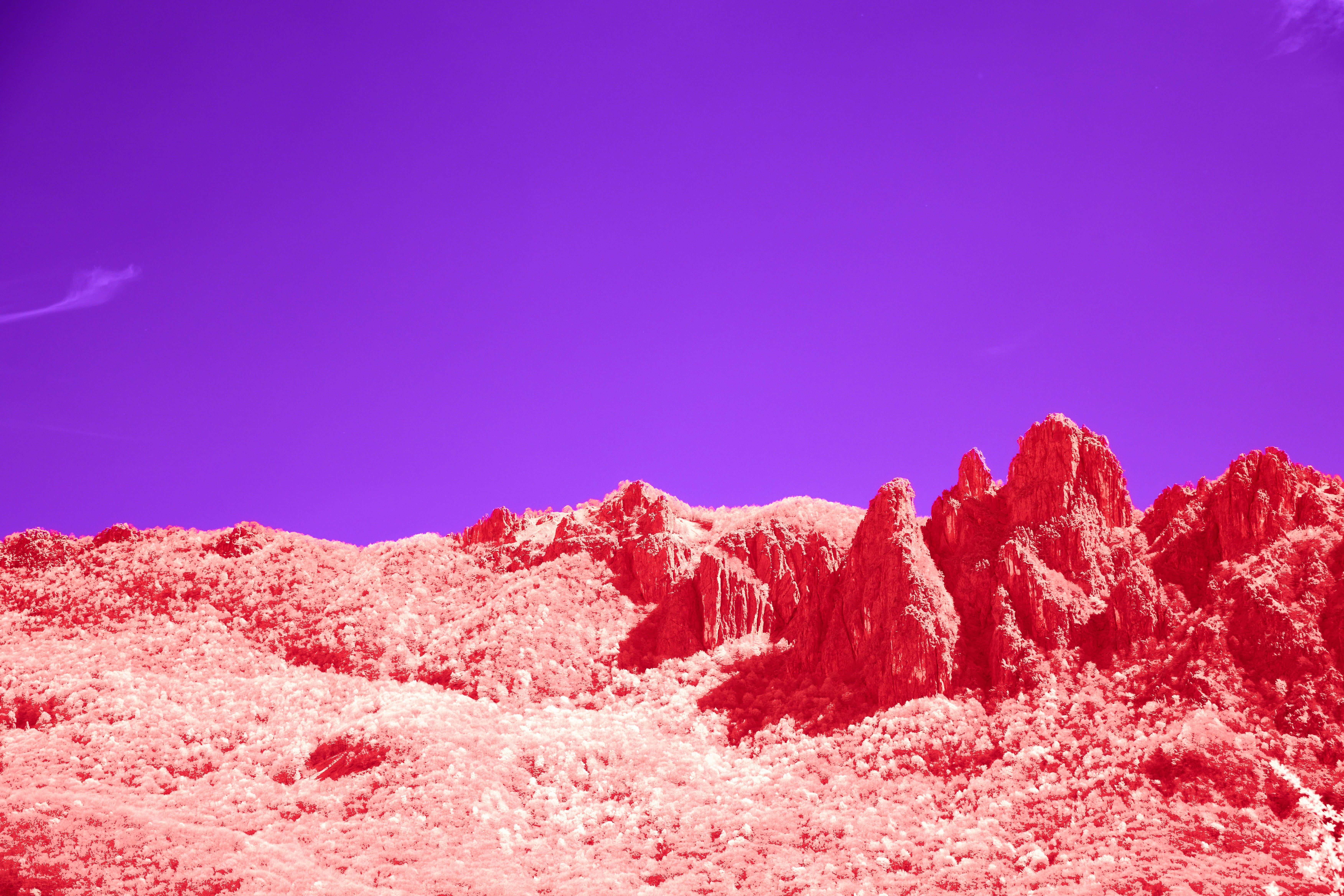 Photo by wolfgang_hasselmann