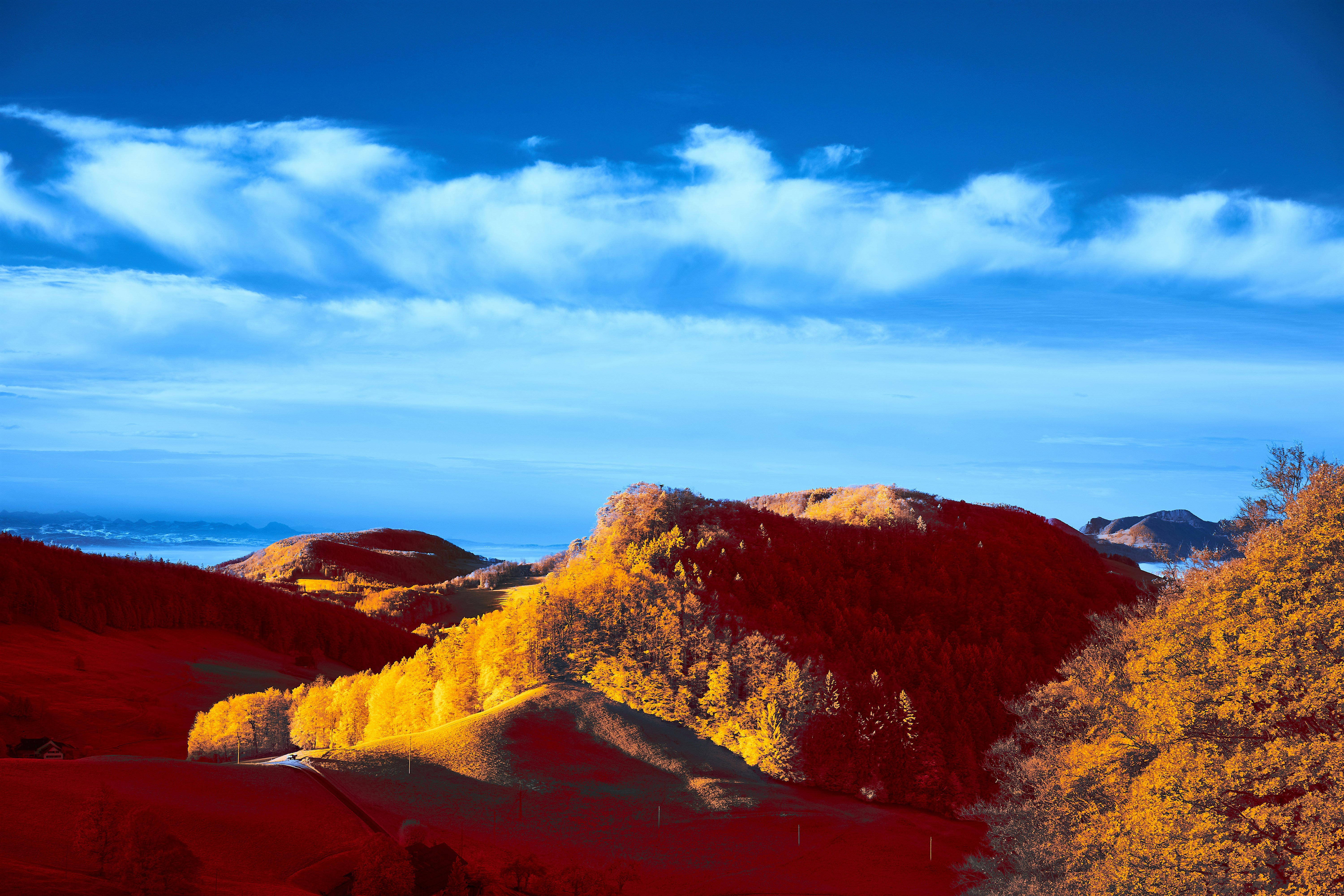 Photo by wolfgang_hasselmann