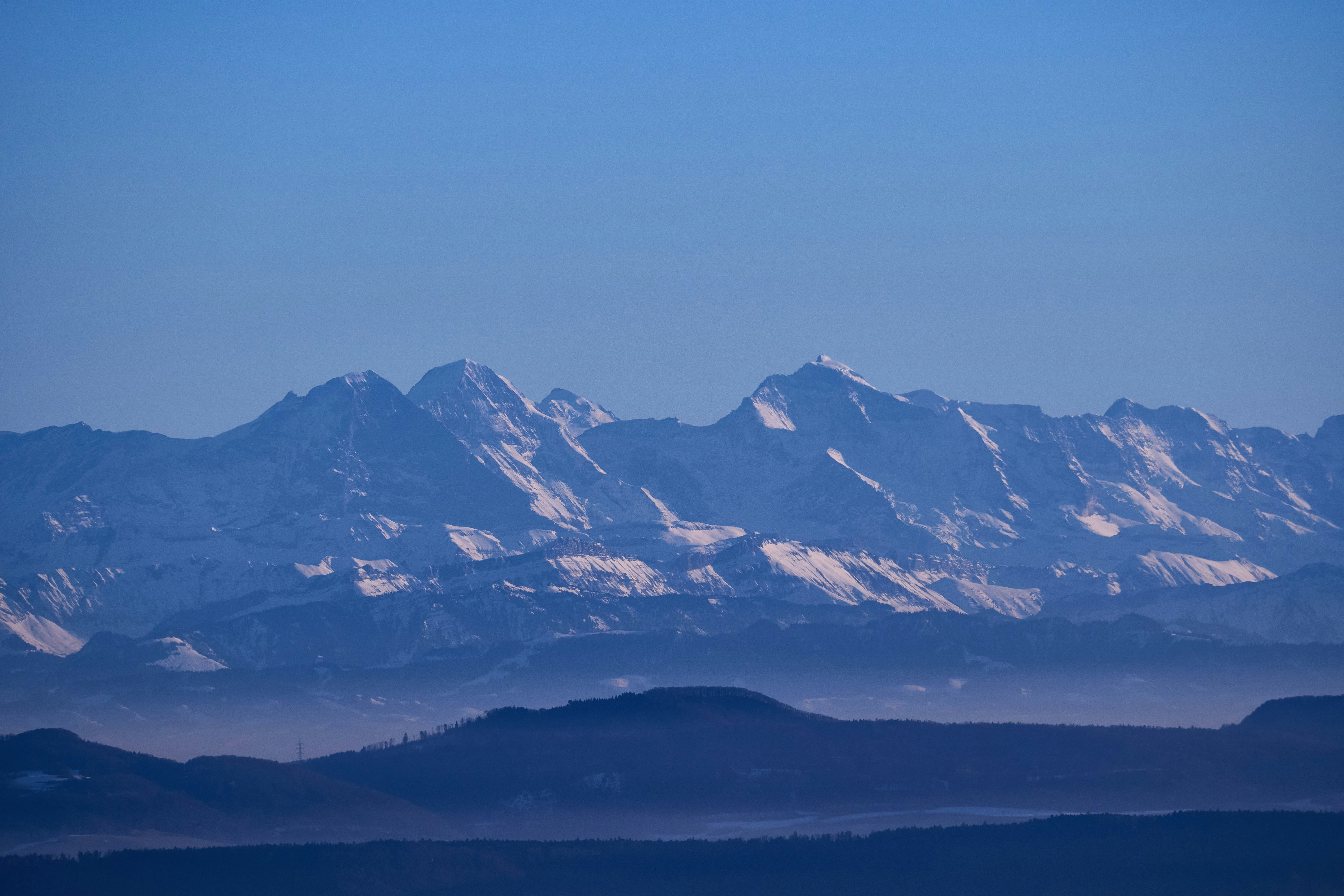 Photo by wolfgang_hasselmann