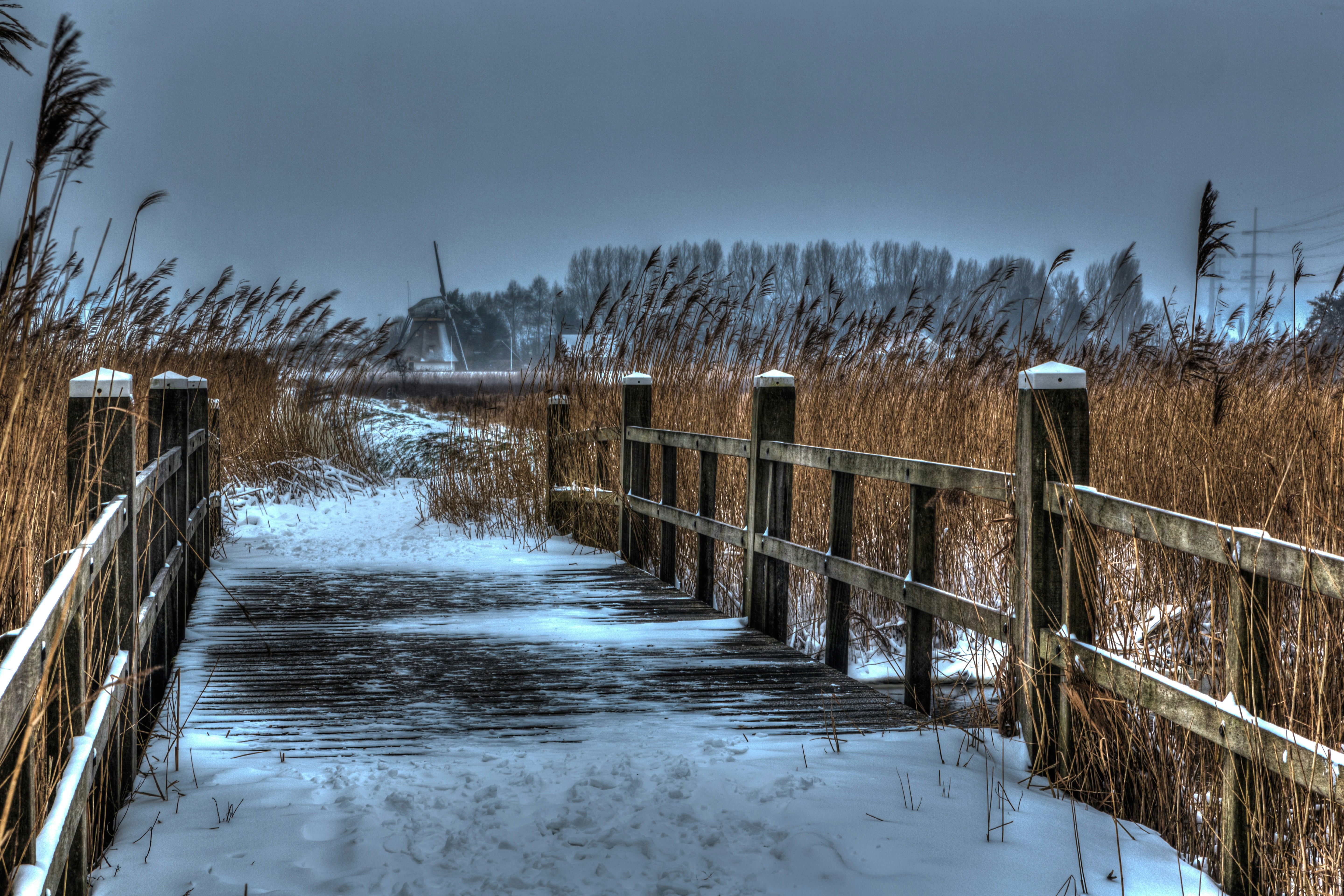 Photo by sinushyperbolicus