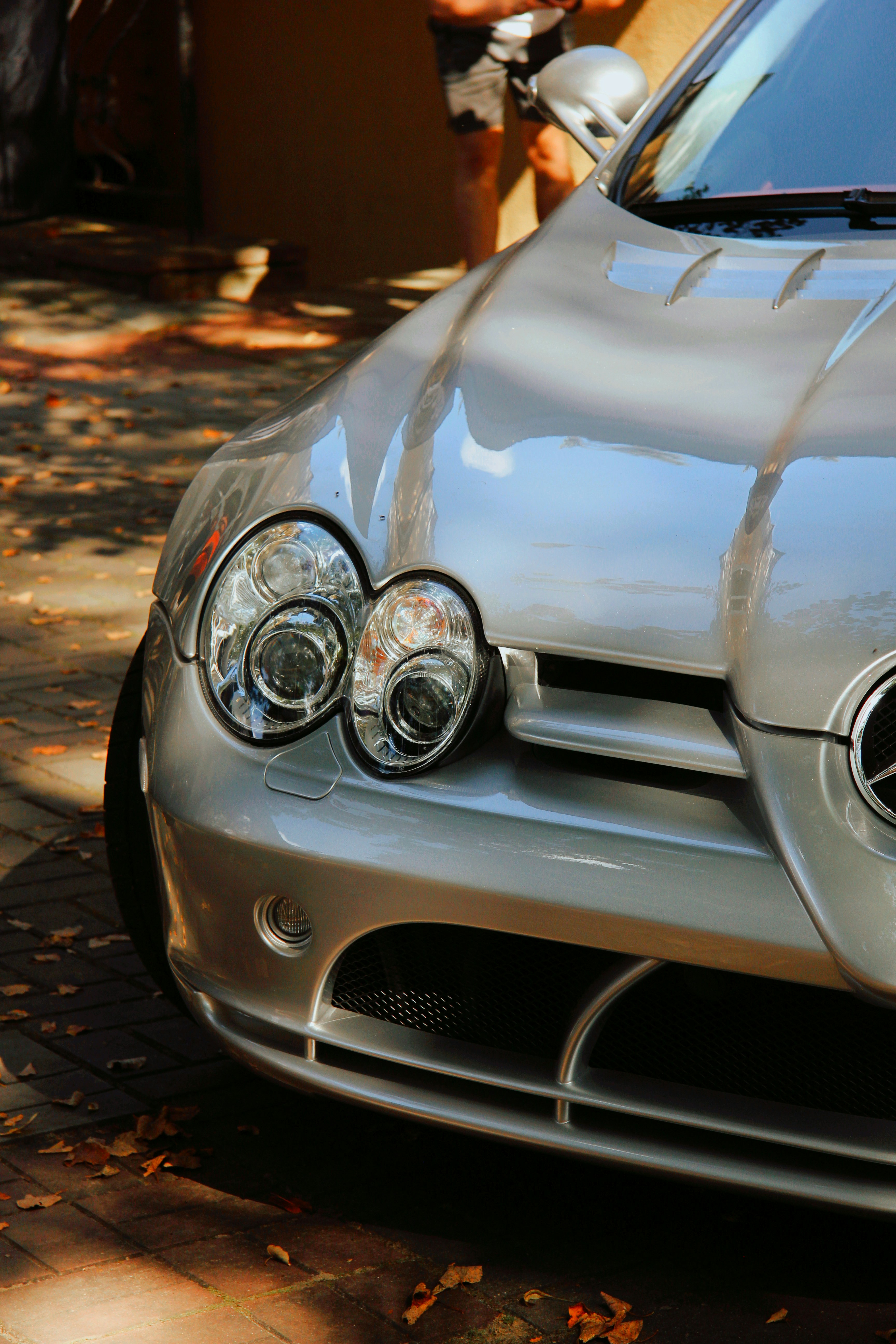 Photo by felis_catus