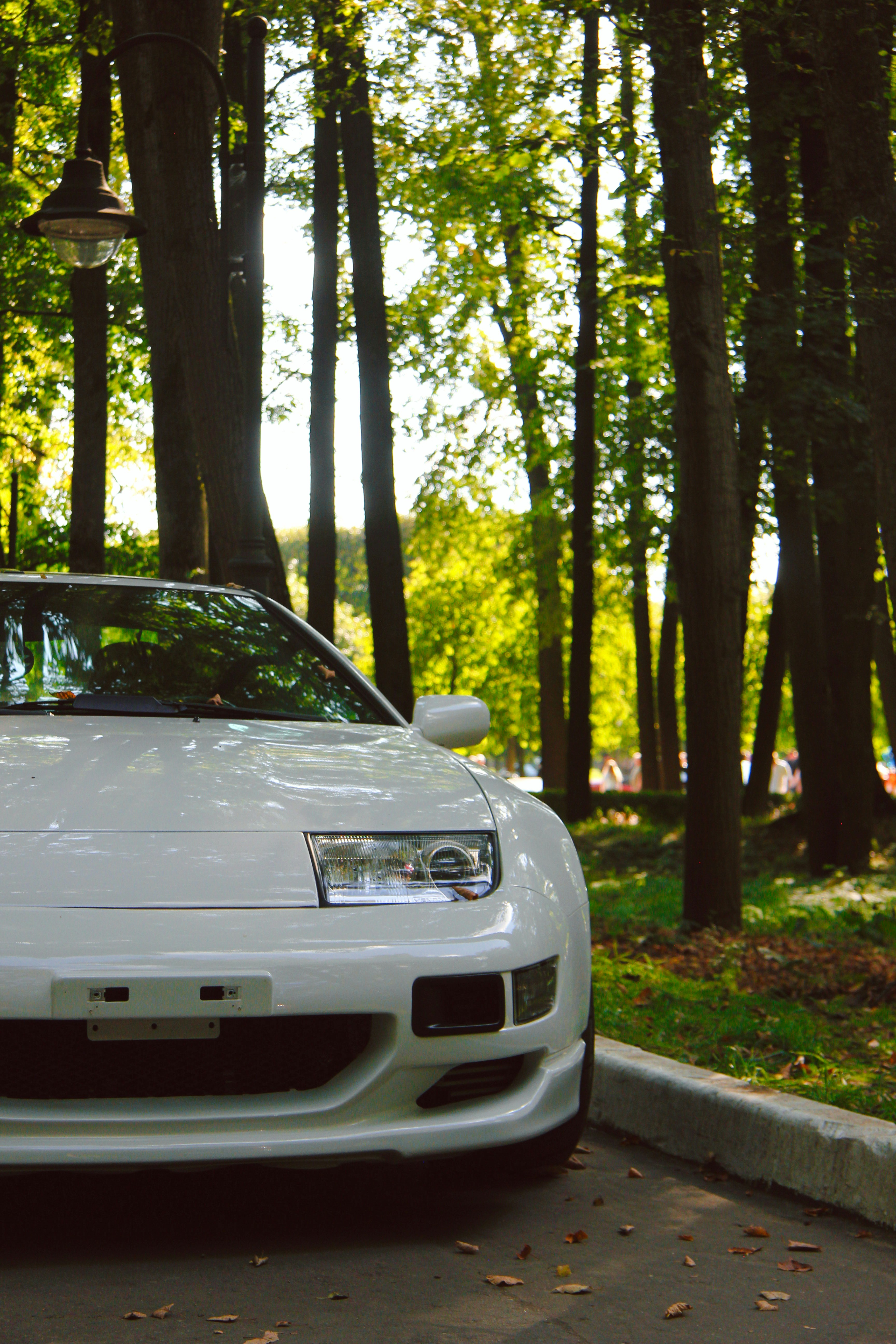 Photo by felis_catus