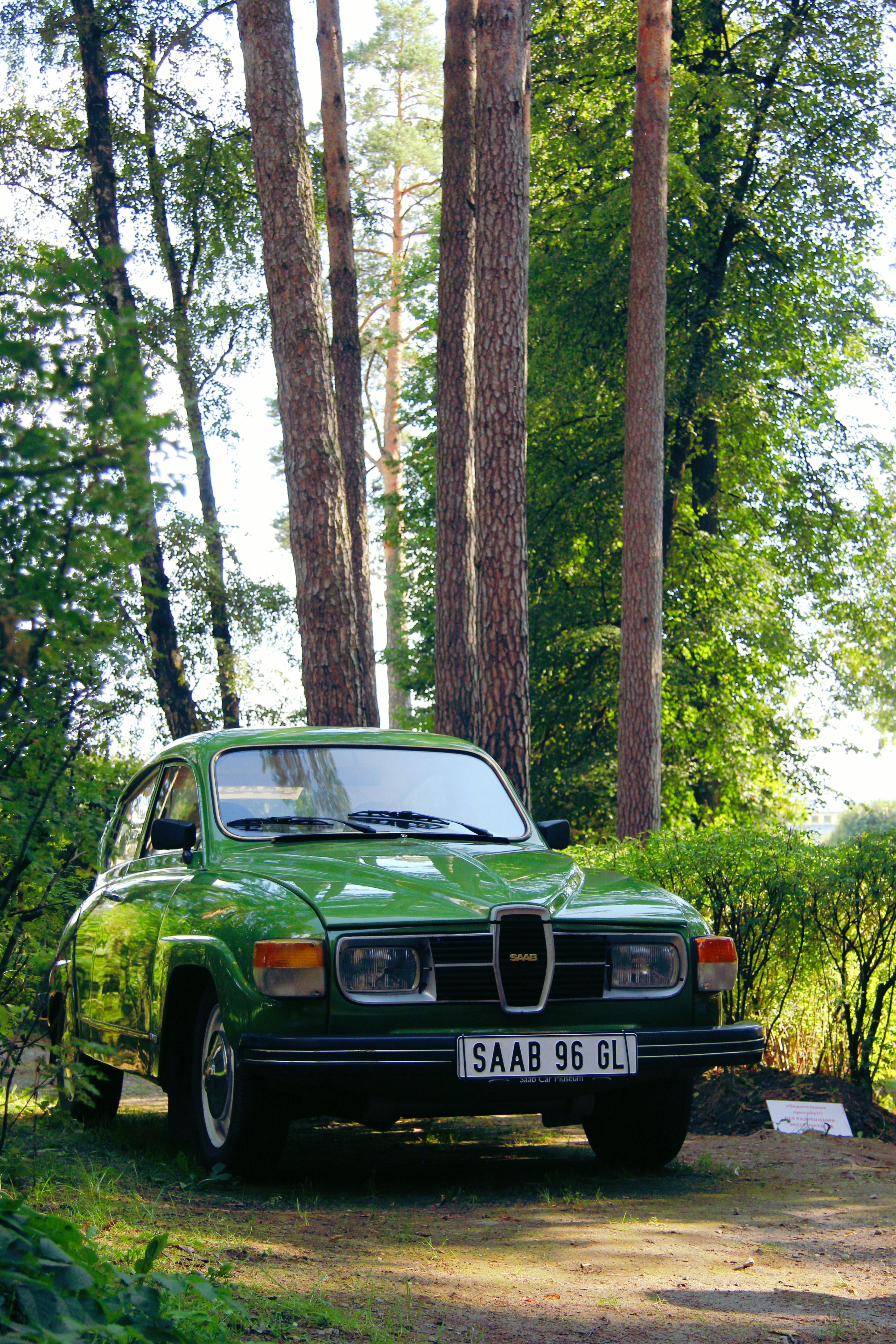 Photo by felis_catus