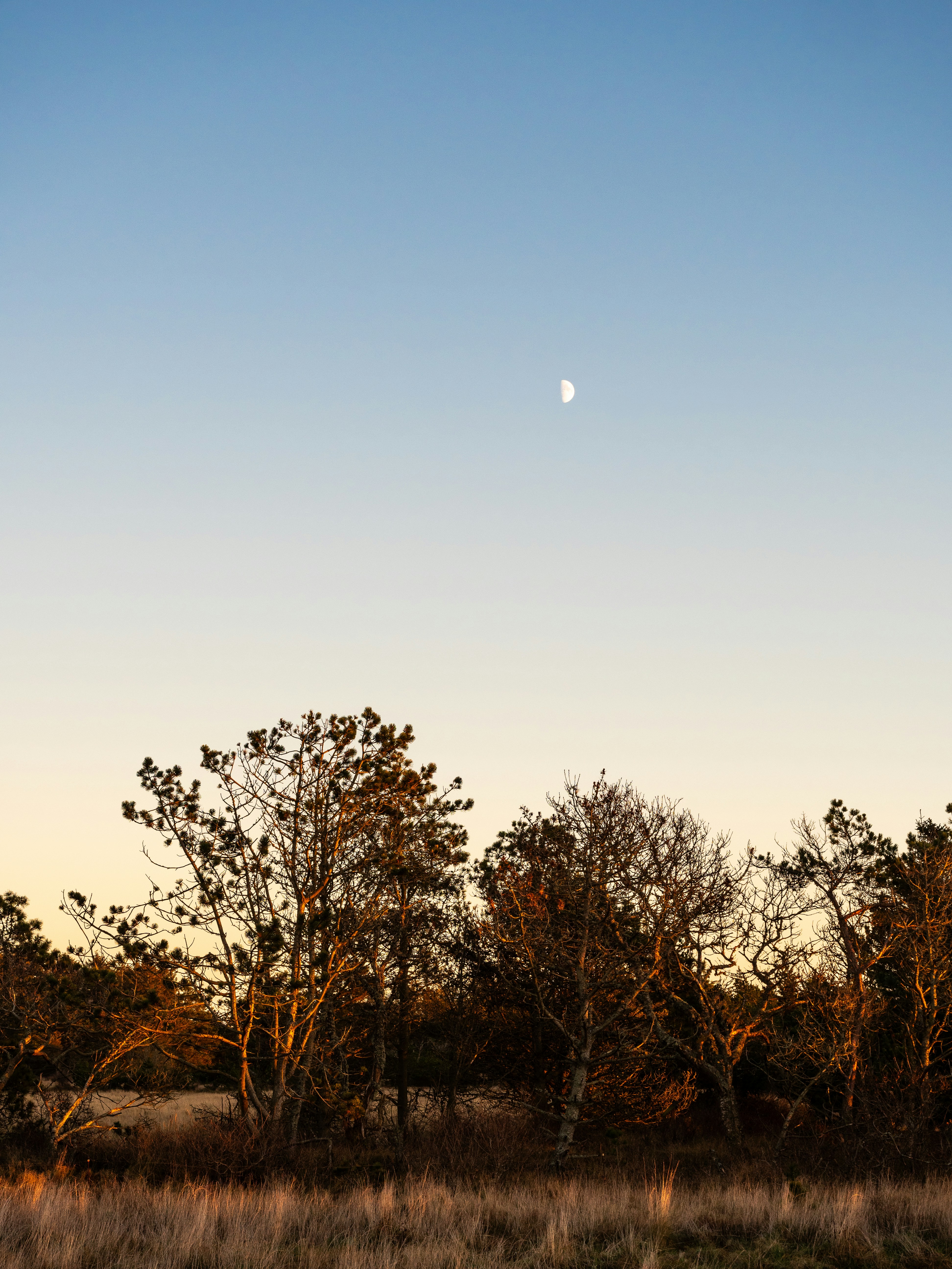 Photo by paulinaherpel