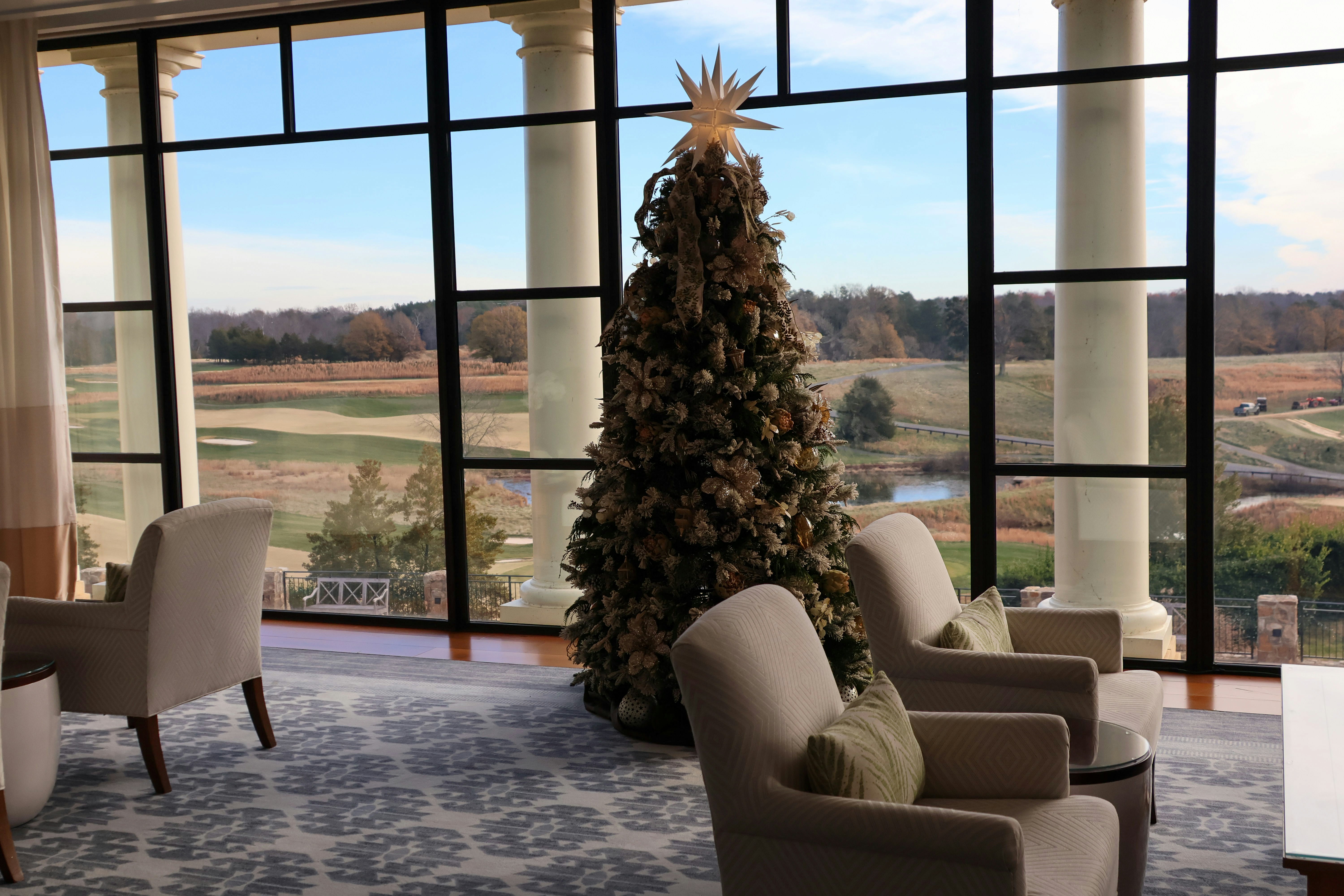 A living room filled with furniture and a christmas tree