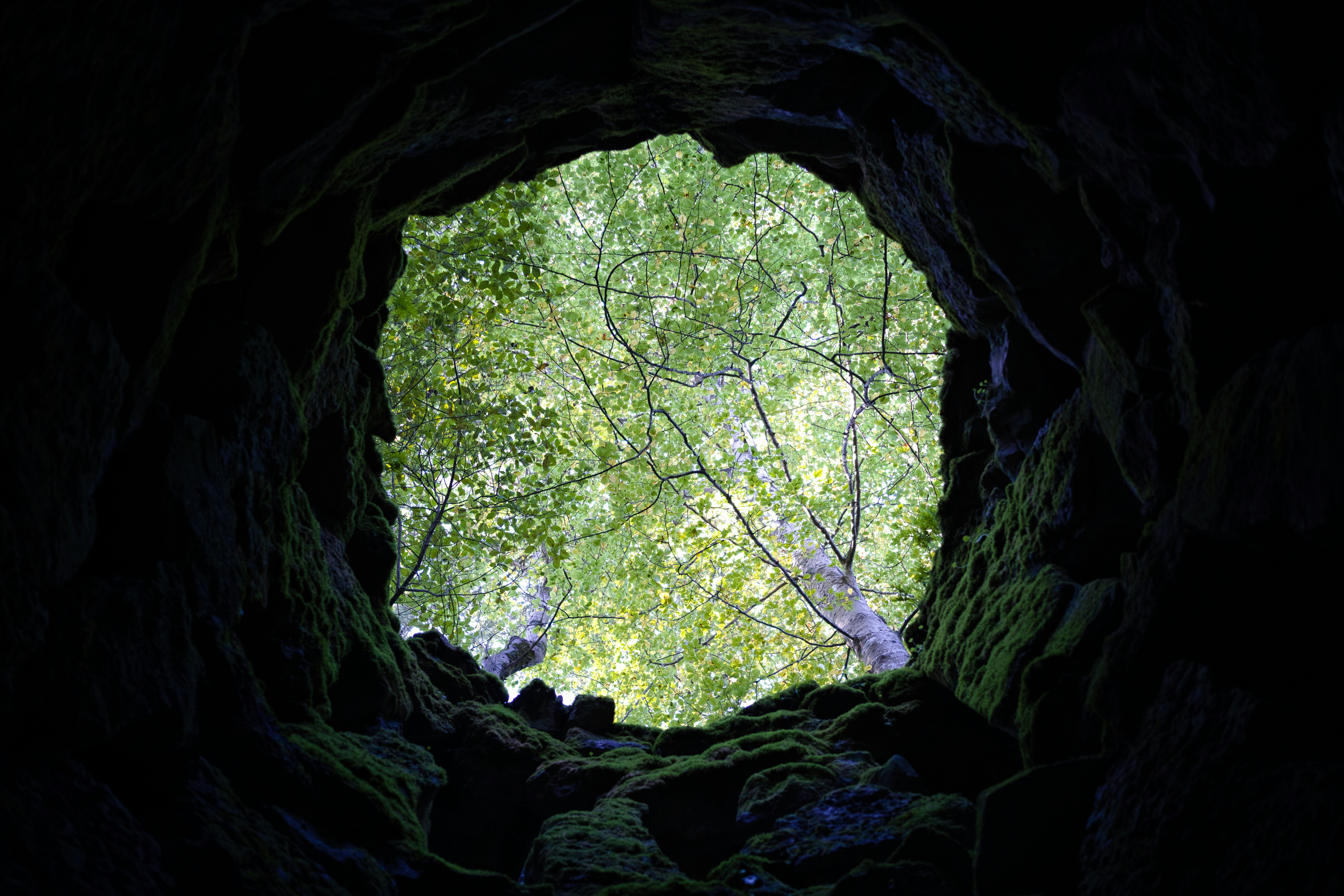 Photo by maksimshutov