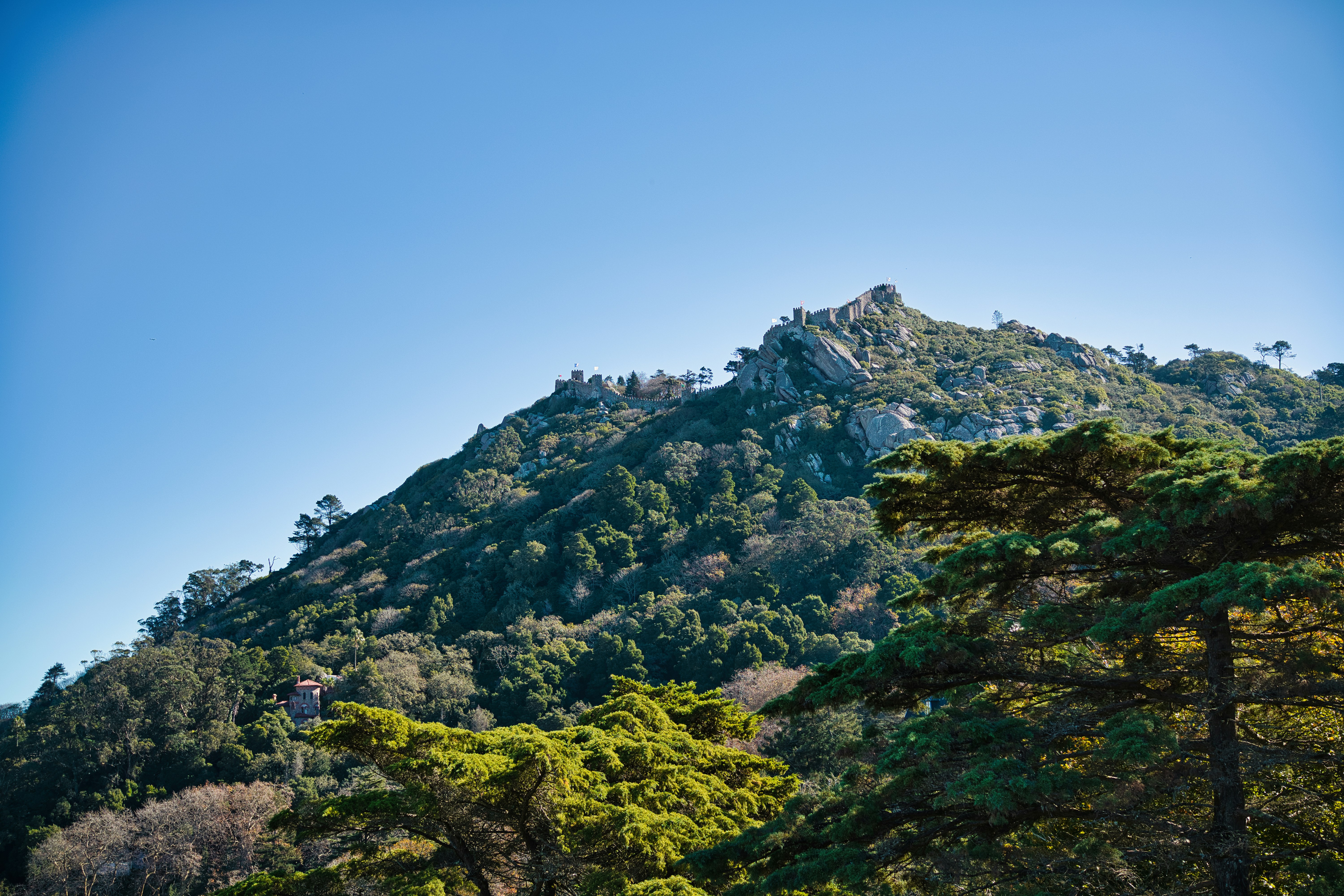 Photo by maksimshutov