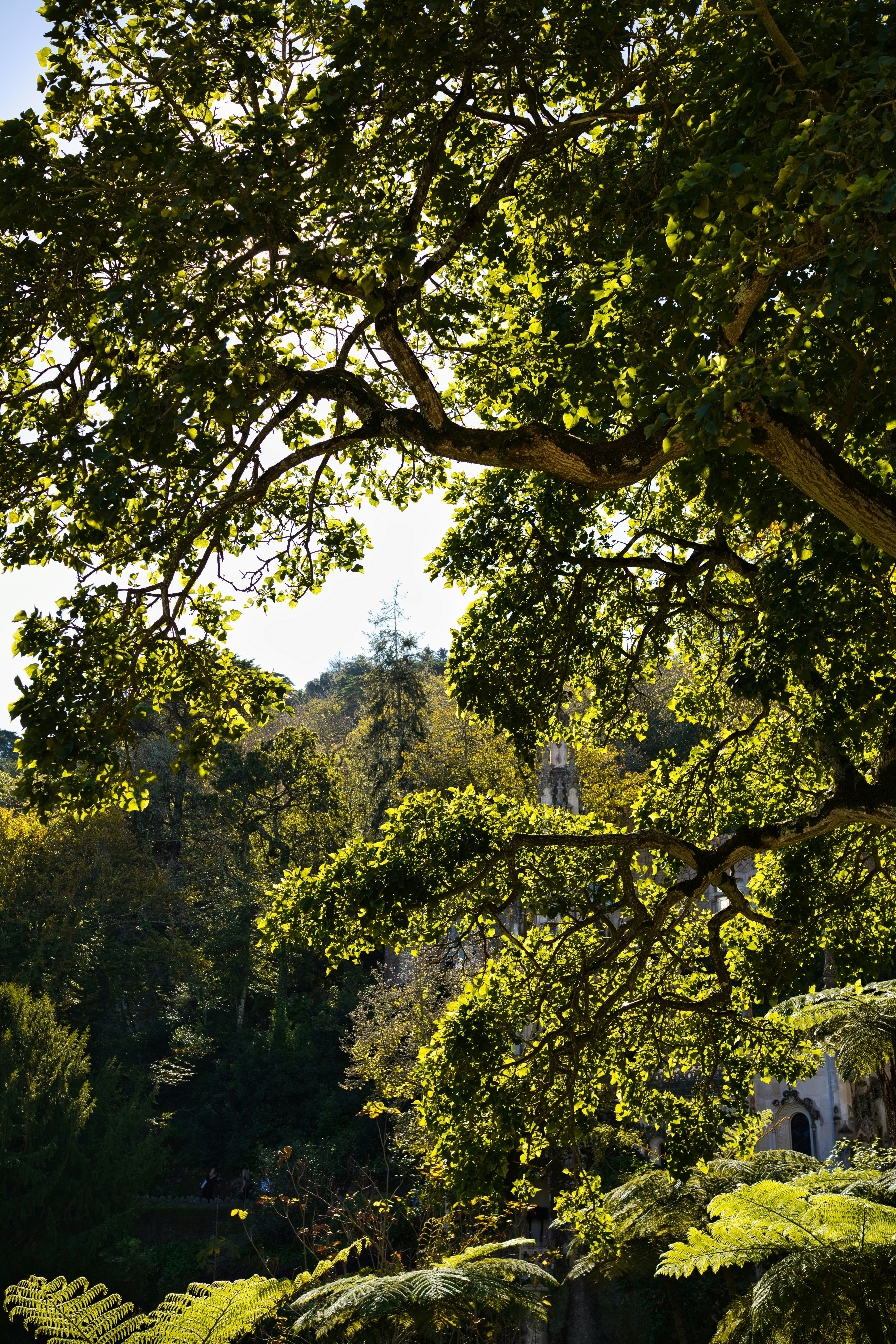 Photo by maksimshutov