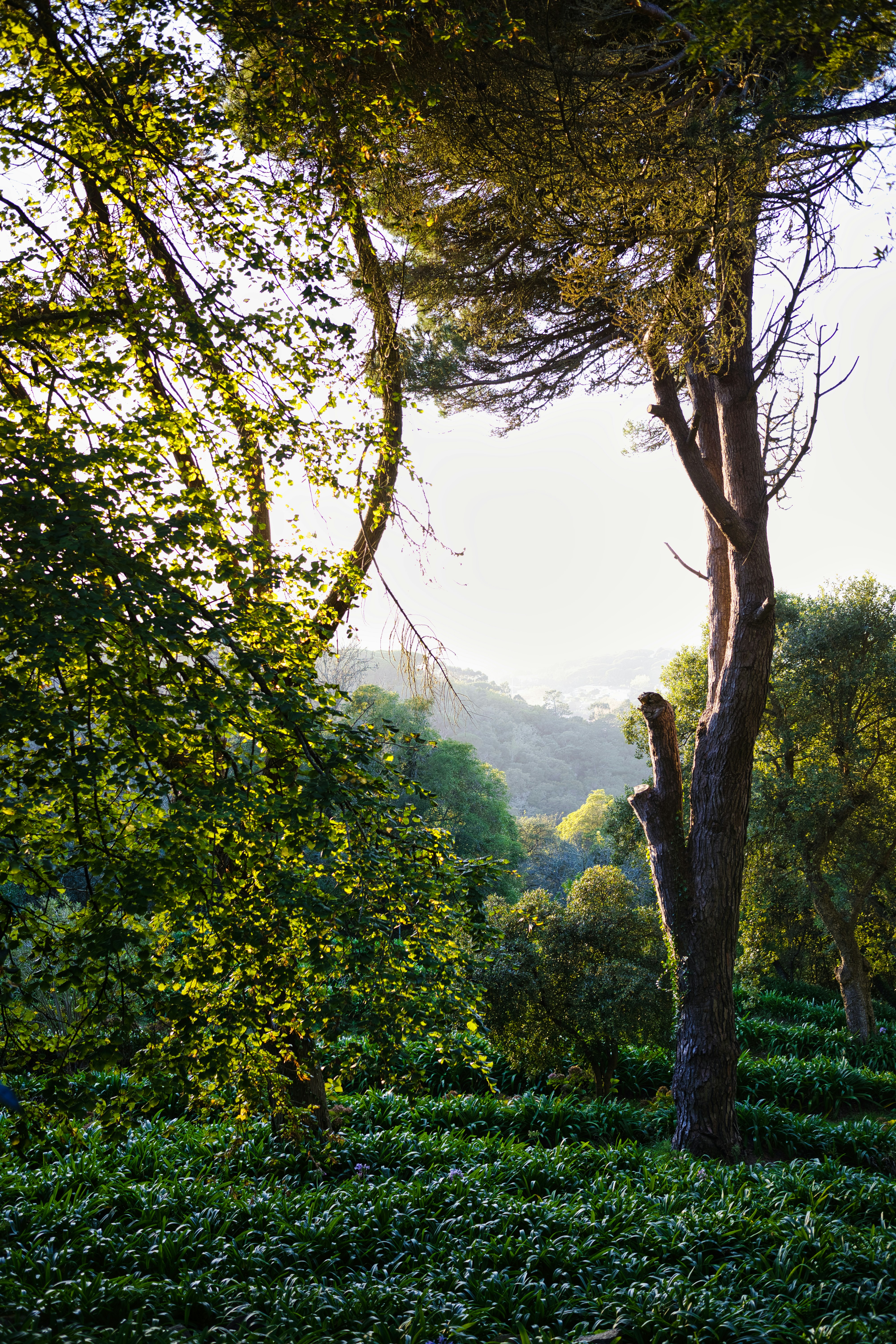 Photo by maksimshutov