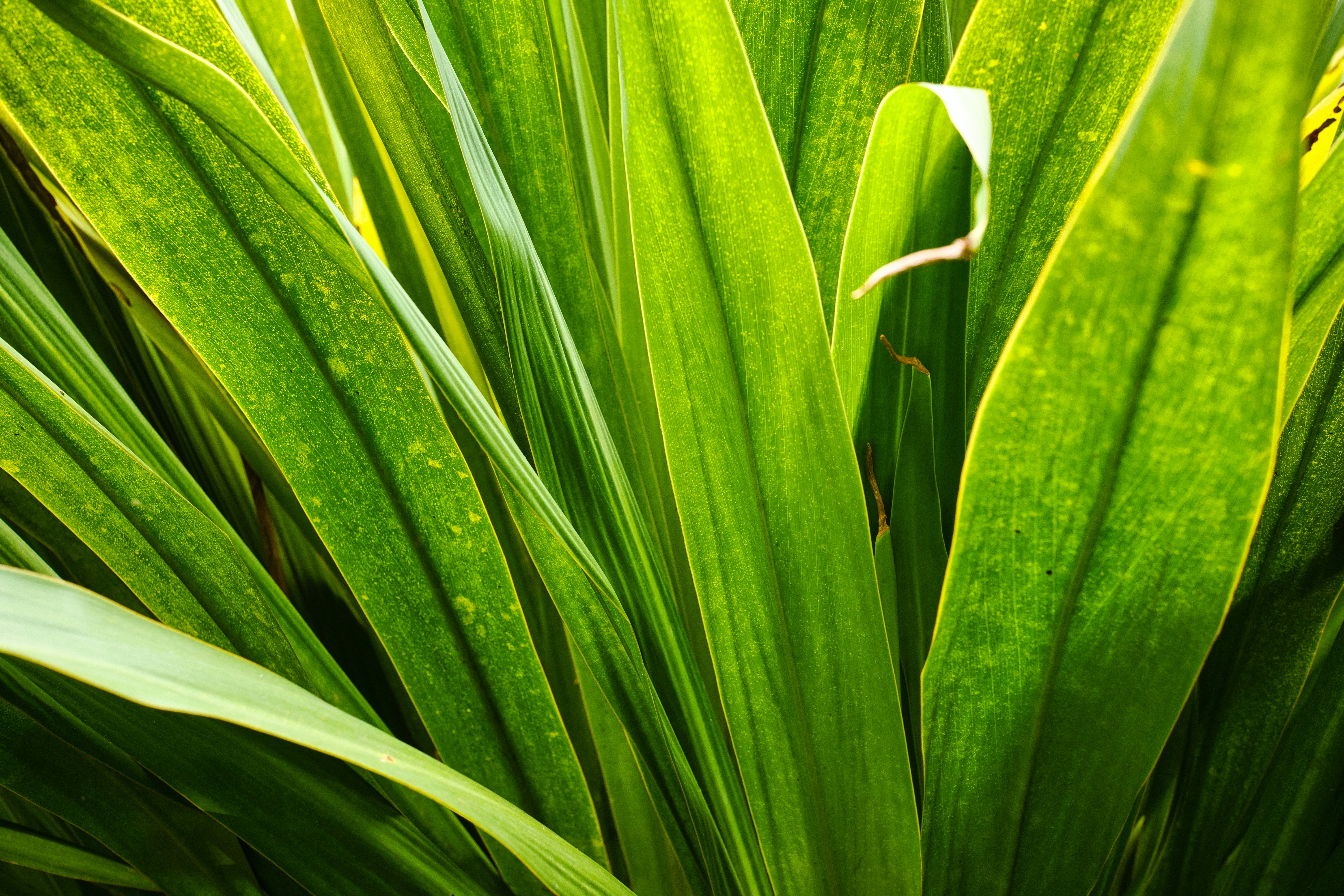 Photo by maksimshutov