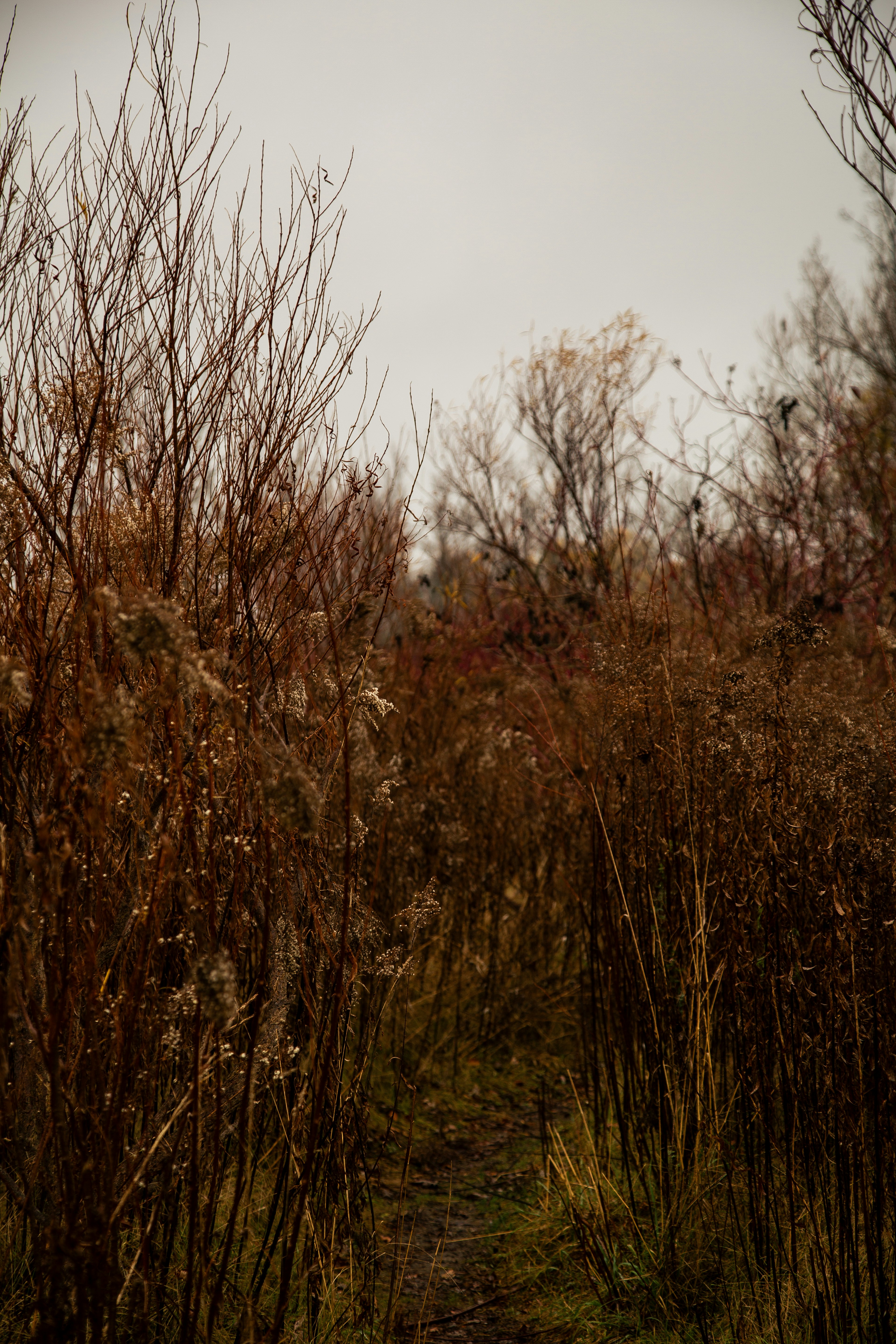 Photo by sofiatheexplorer