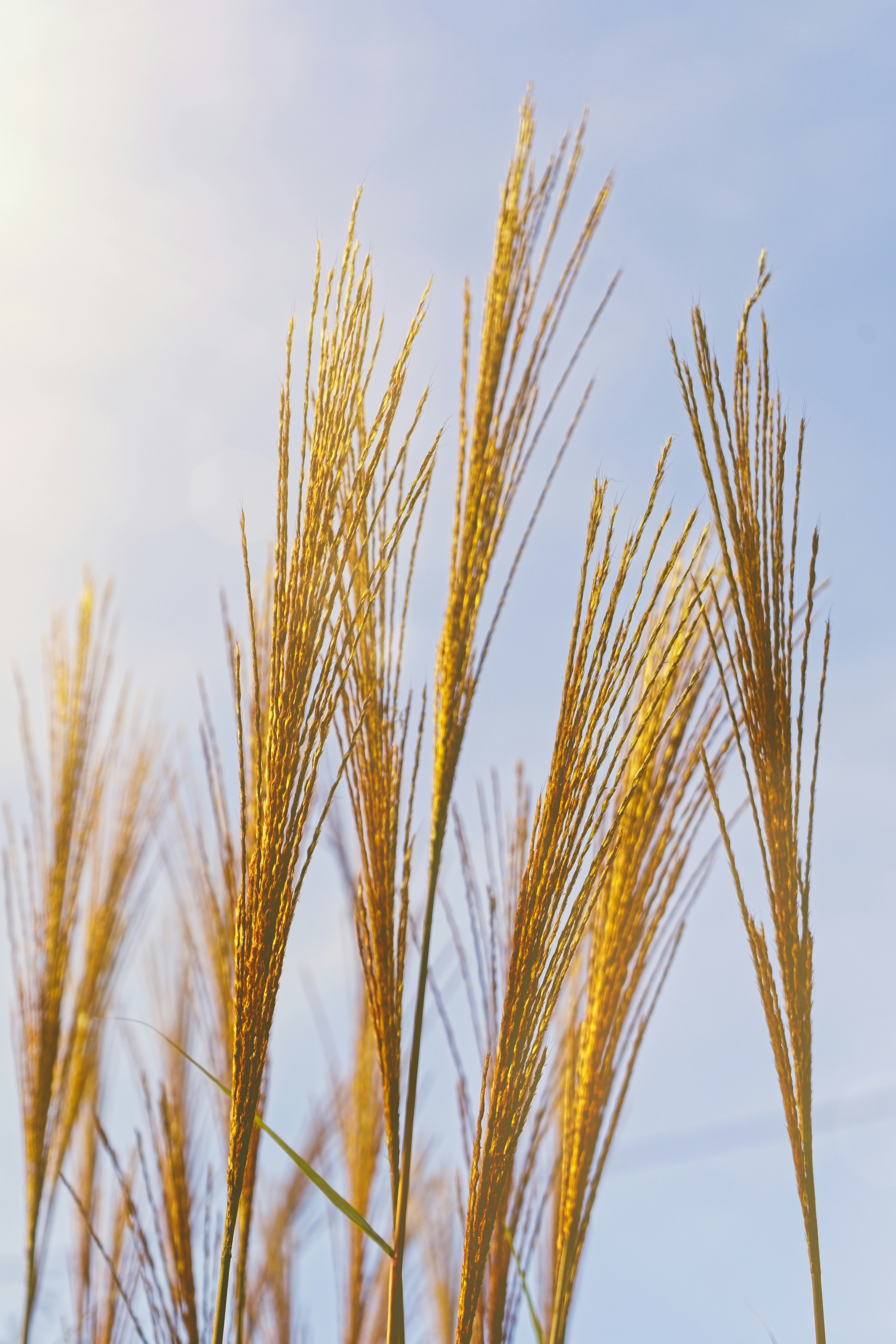 Photo by nedimshoots