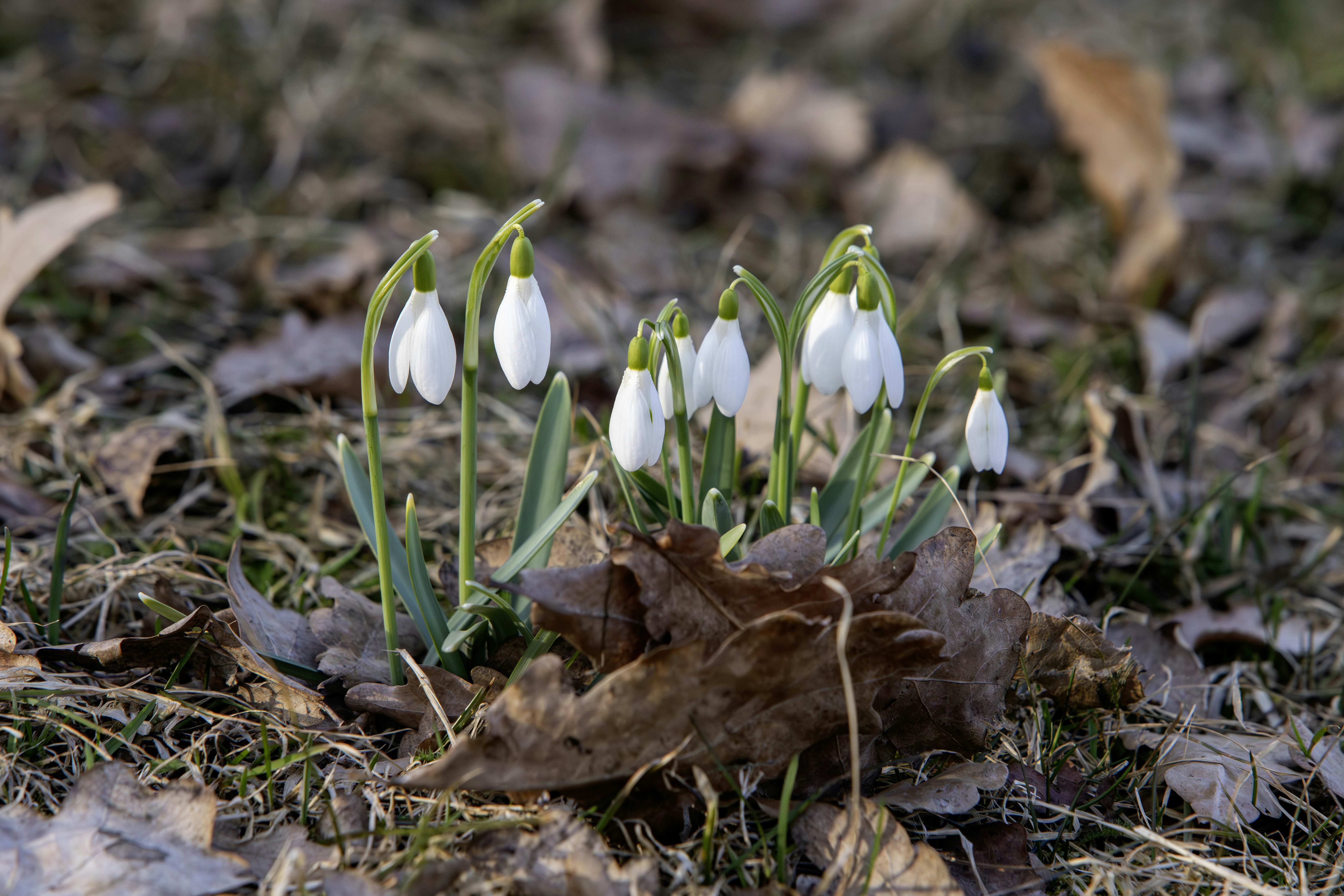 Photo by erik_karits