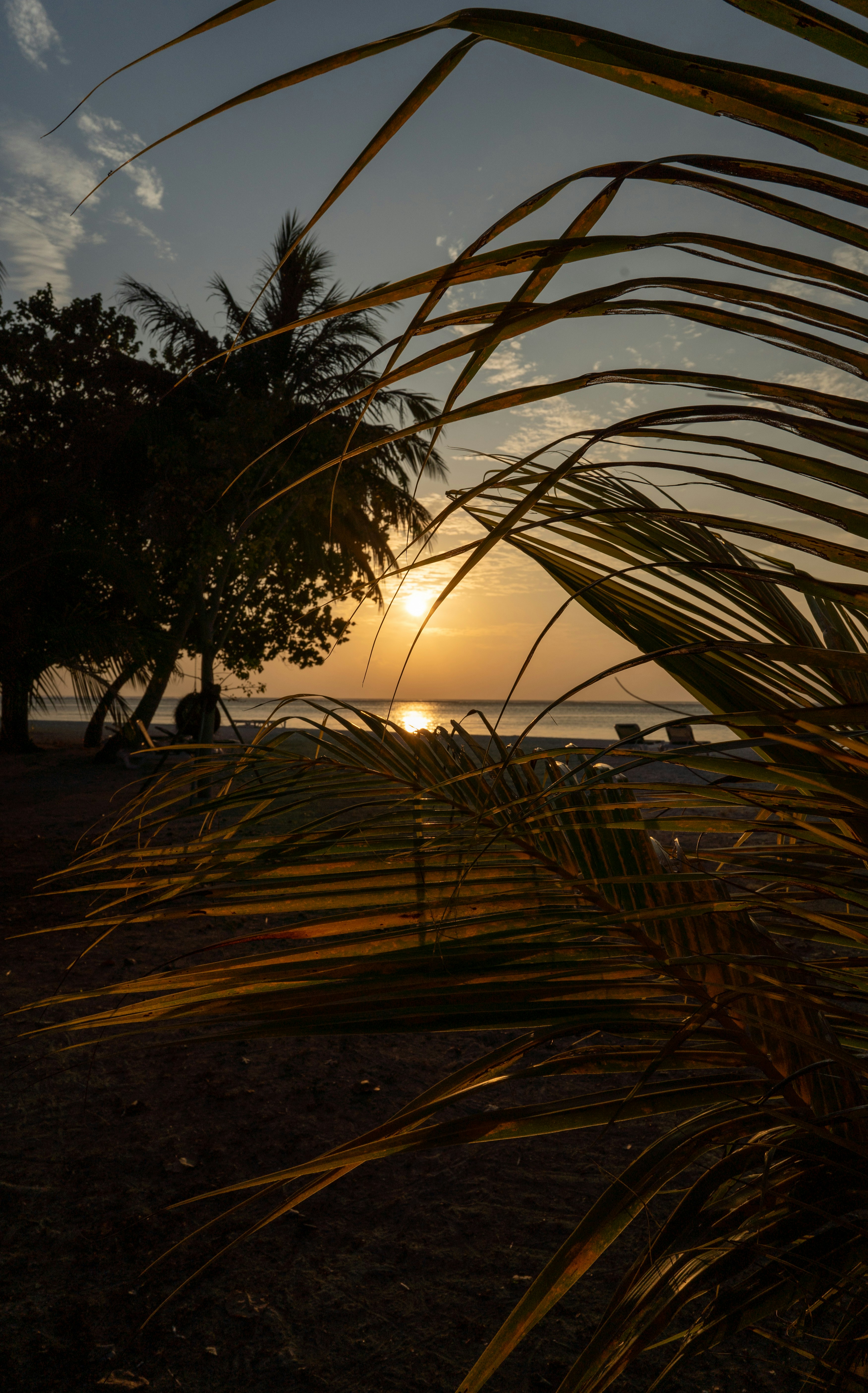 Photo by danielsphotograpic