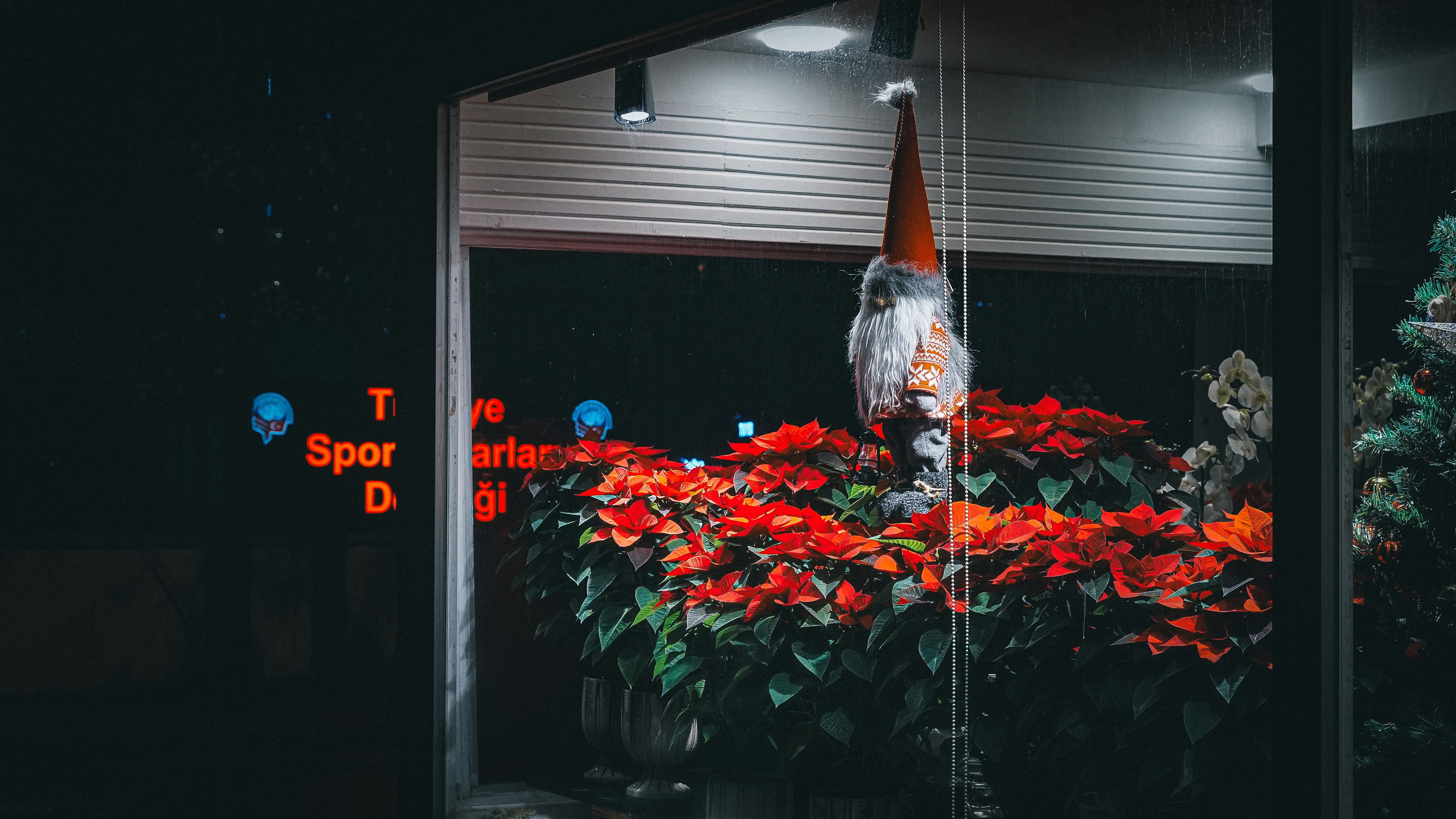 A BSNL office entrance adorned with a red carpet, flower arrangements, and several staff members standing in a line, looking expectant. A sign reads 