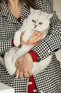 A woman holding a white cat in her arms