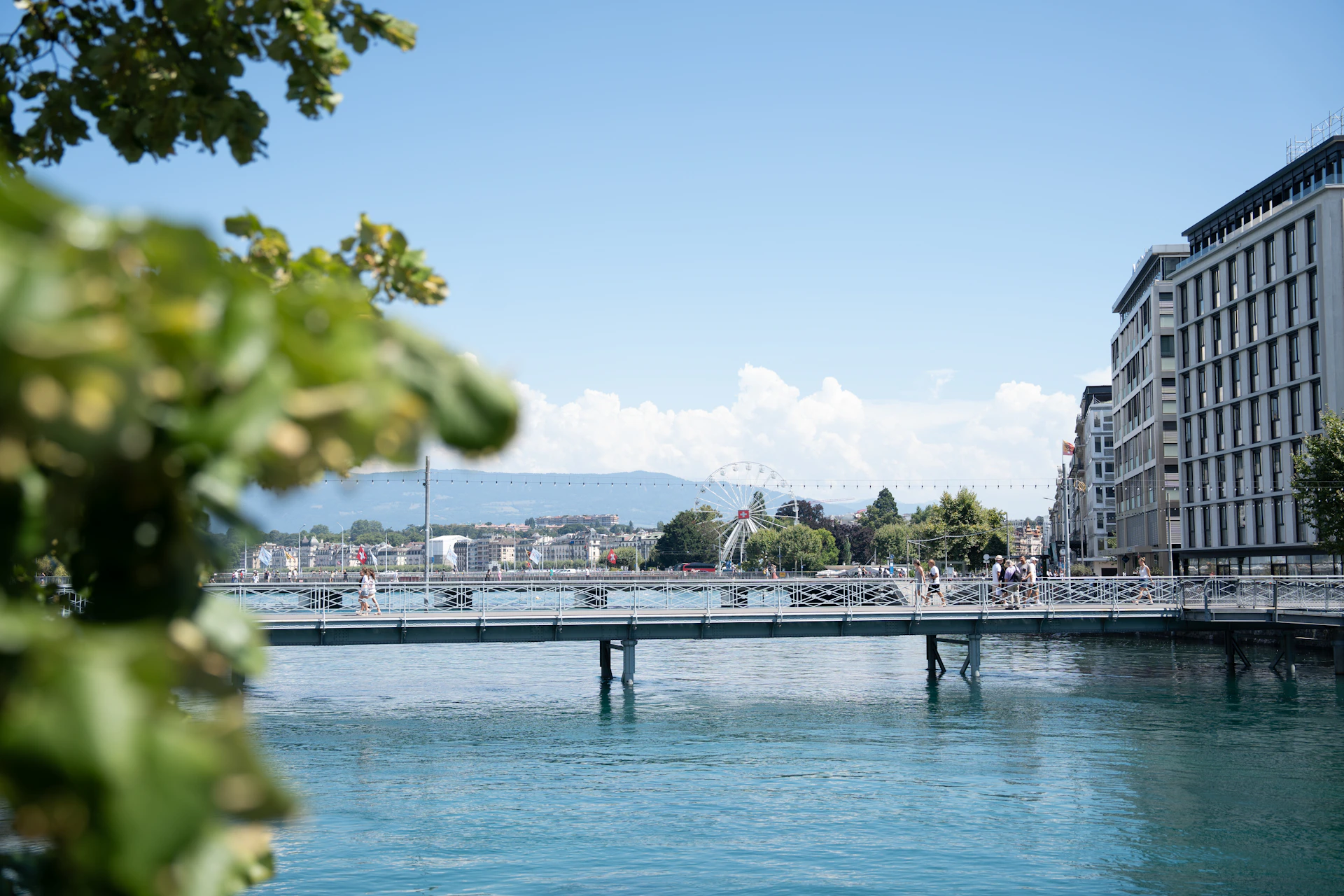 A body of water with a bridge in the background