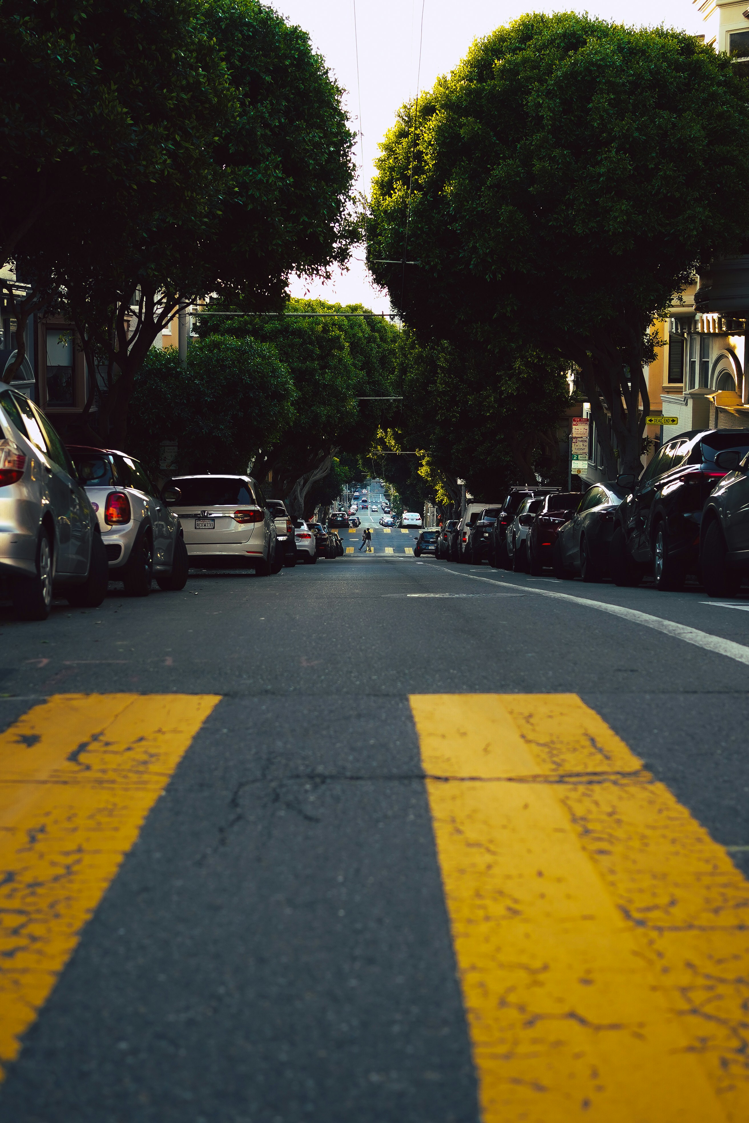 Photo by kalaniparker