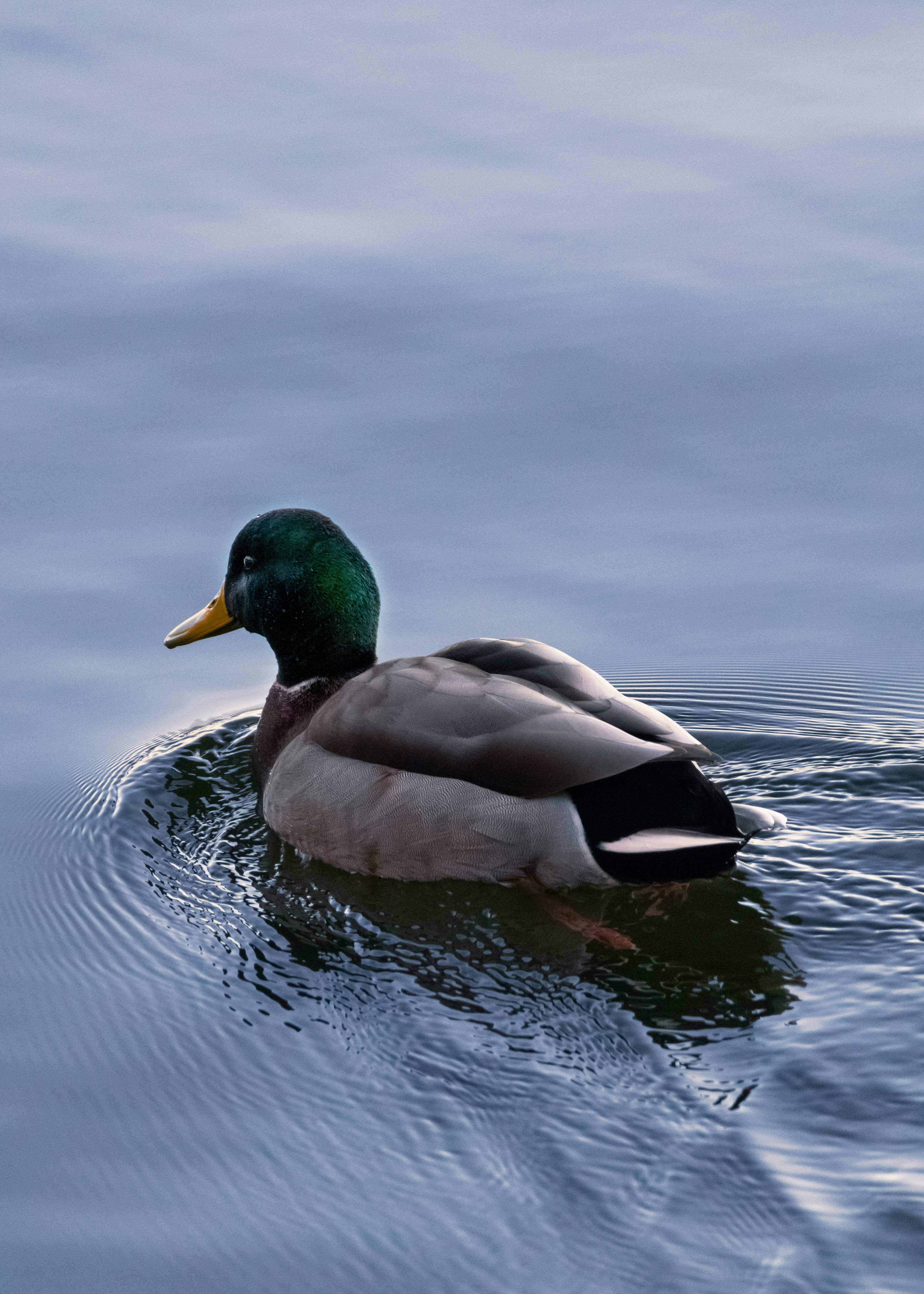 Photo by charlysey278