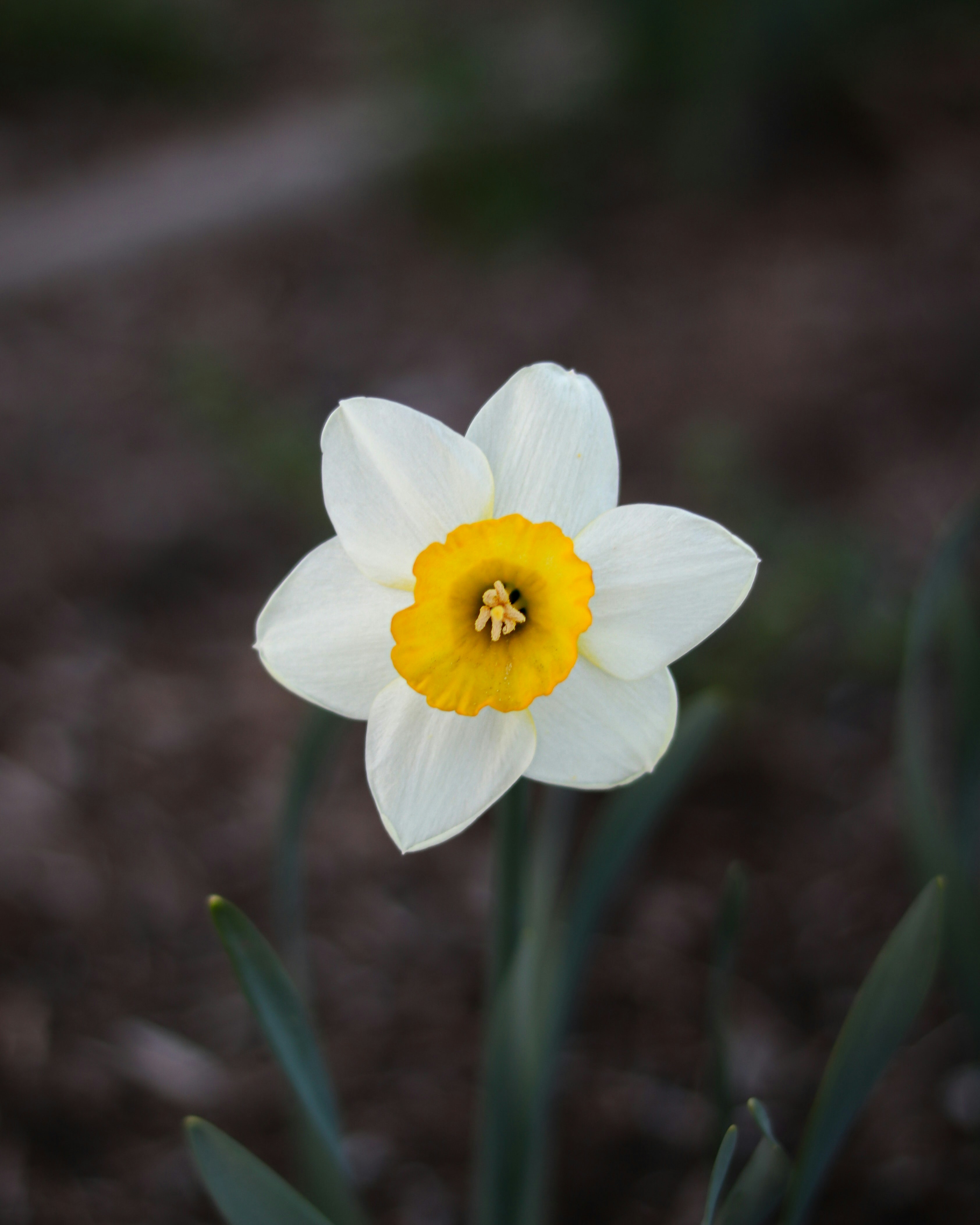 Photo by heberdavisphotography