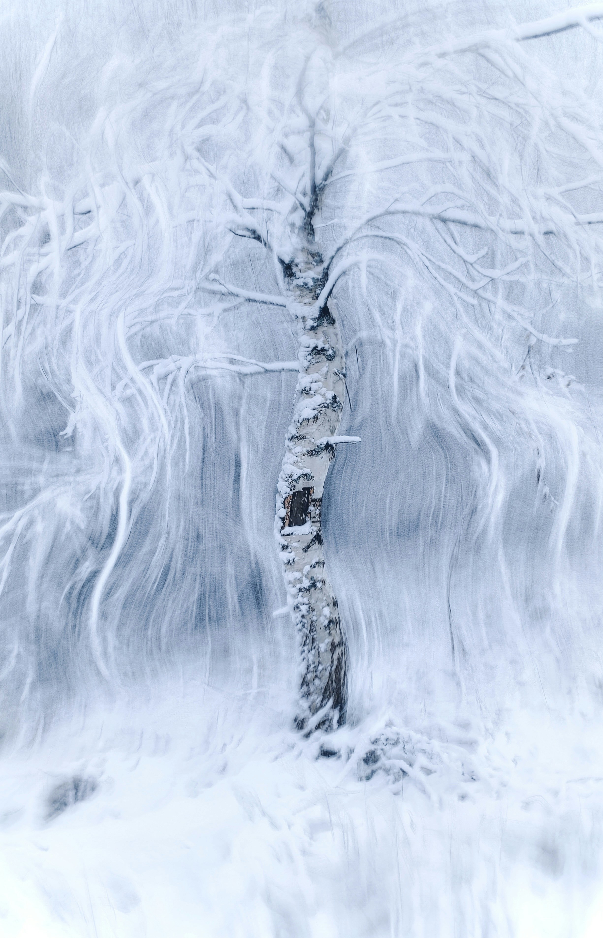 Photo by eugene_golovesov