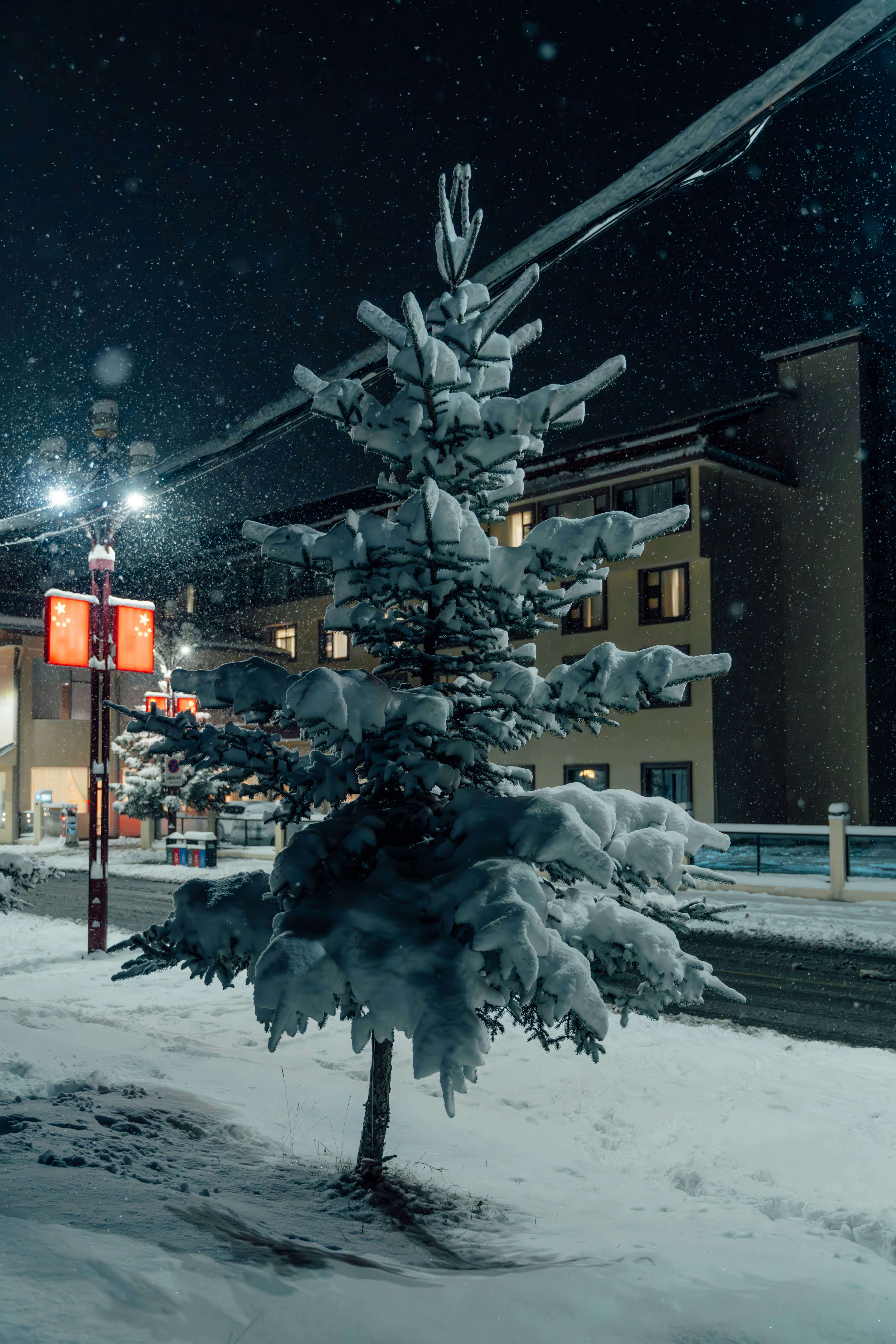 前景に木が立ち並ぶ雪に覆われた夜の通り