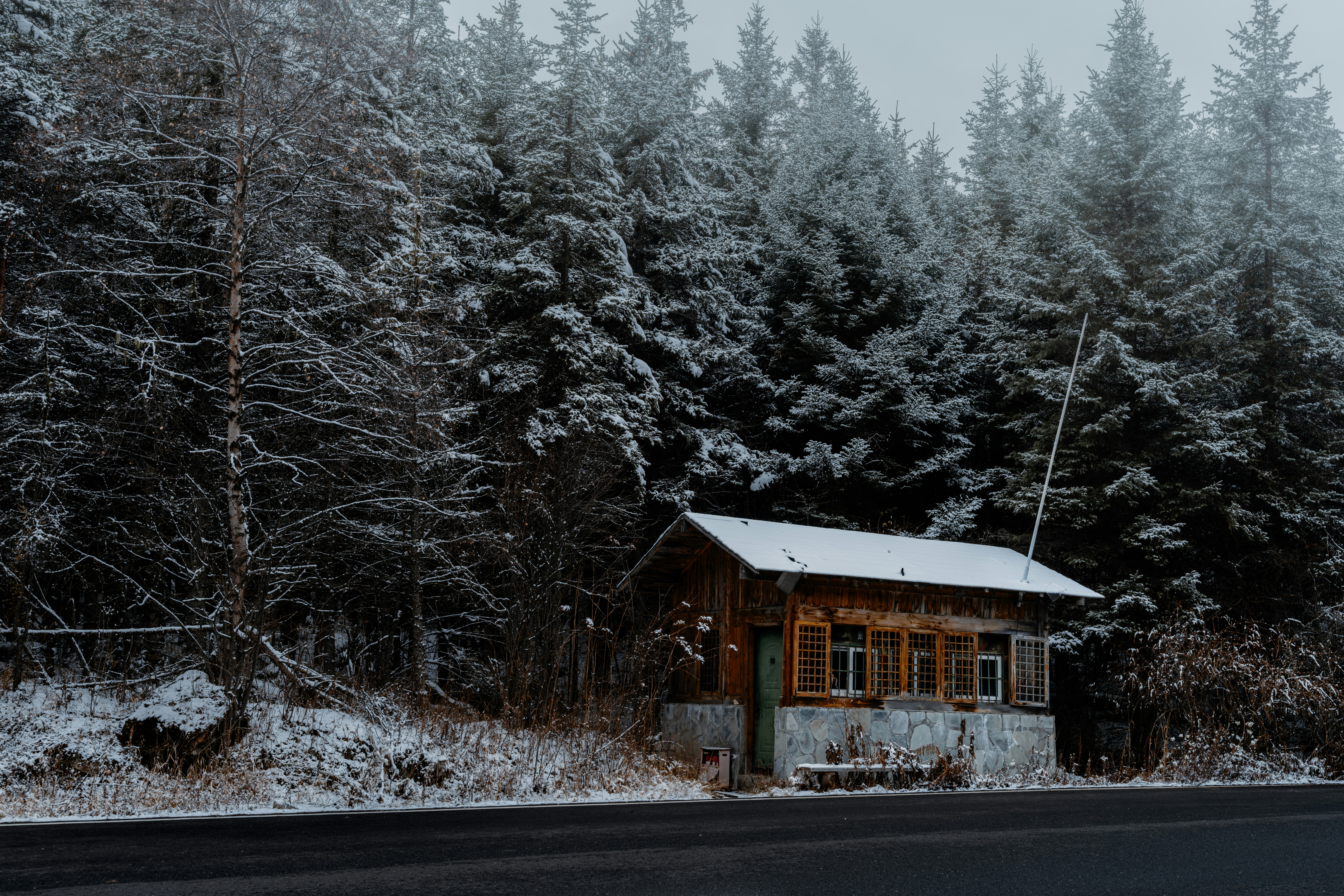 雪の森の真ん中にあるキャビン