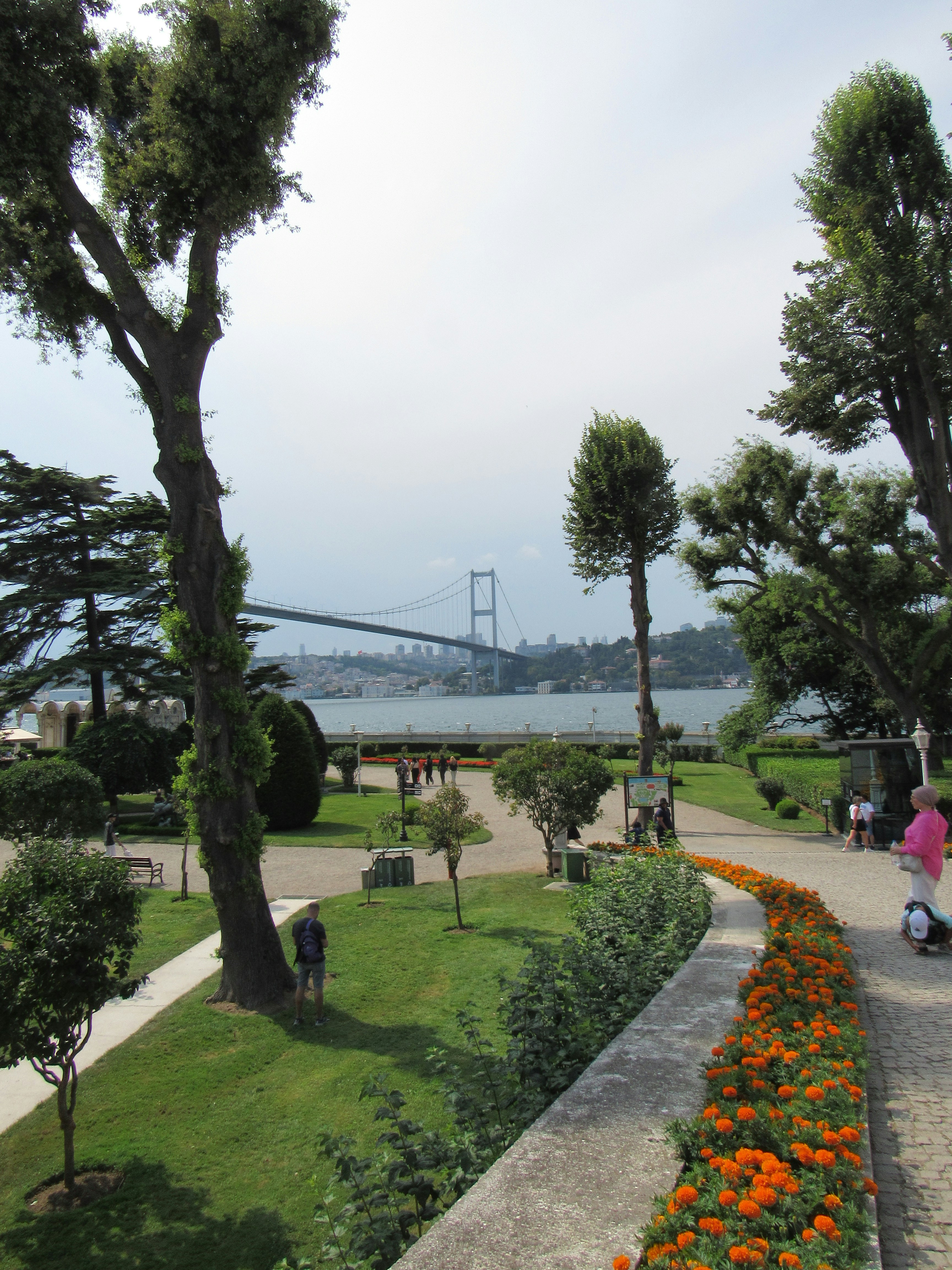 Una donna in sella a una bicicletta lungo un marciapiede accanto a un parco verde lussureggiante