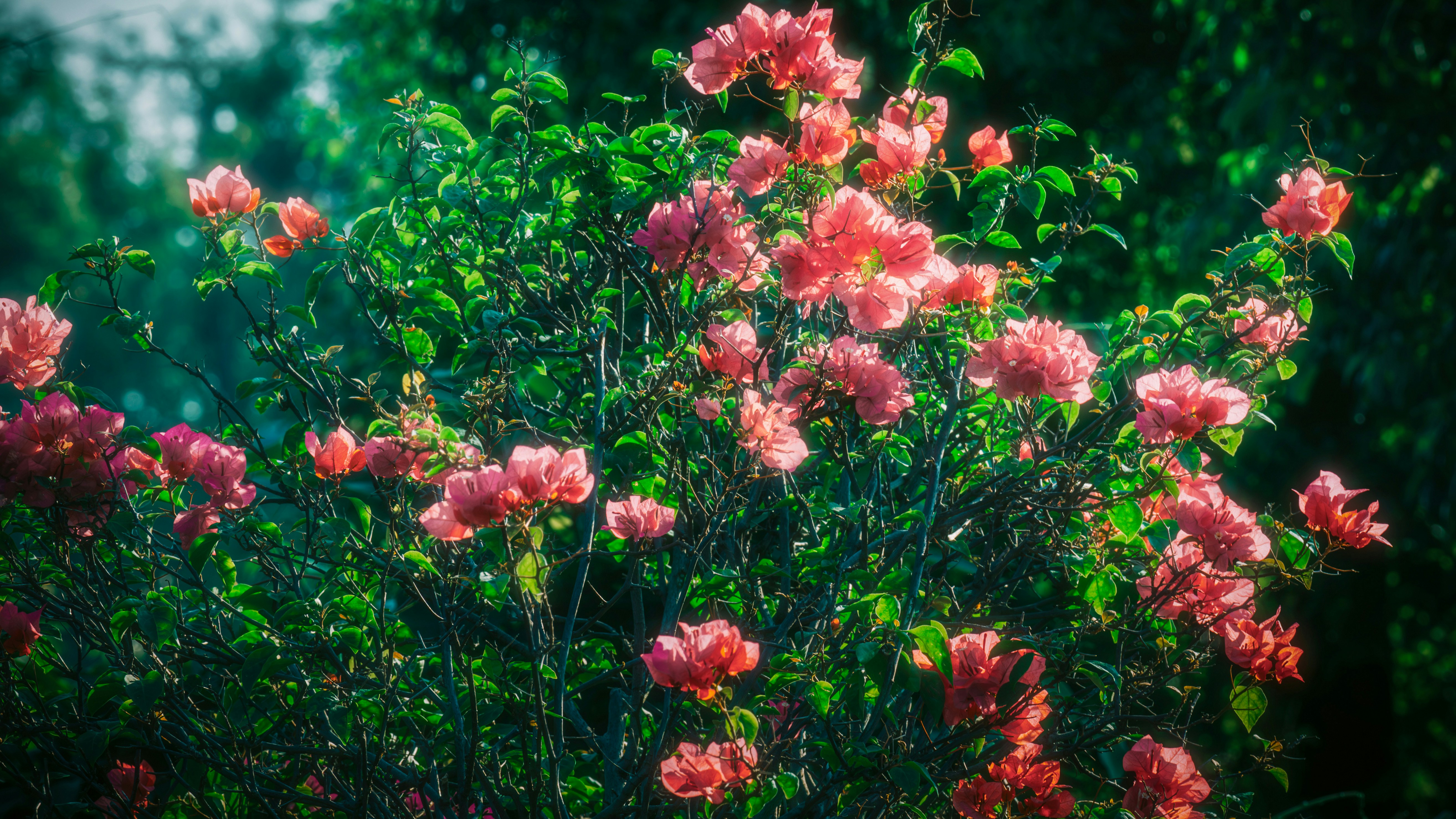 Photo by _maizi
