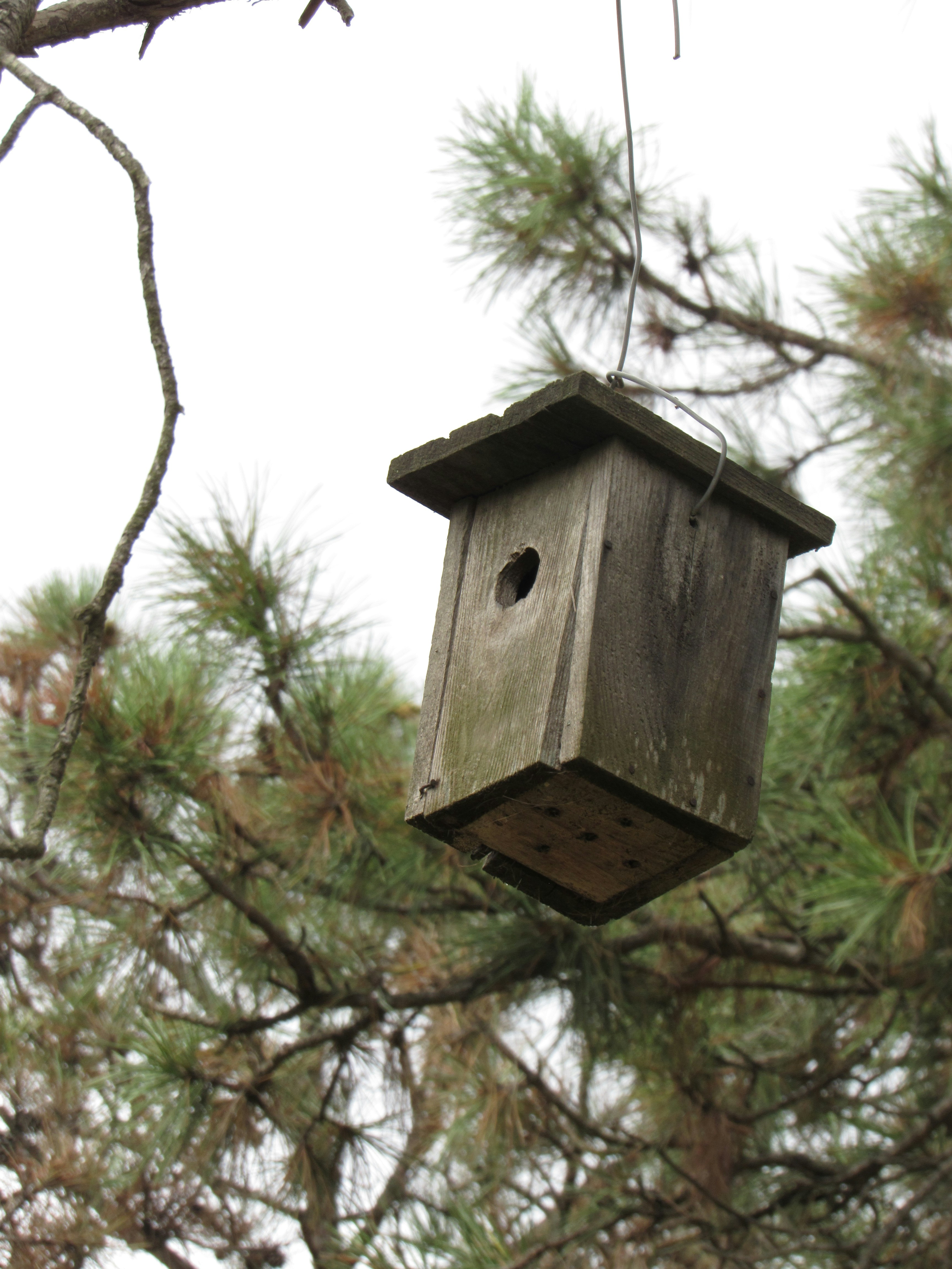 Photo by omarsabra64