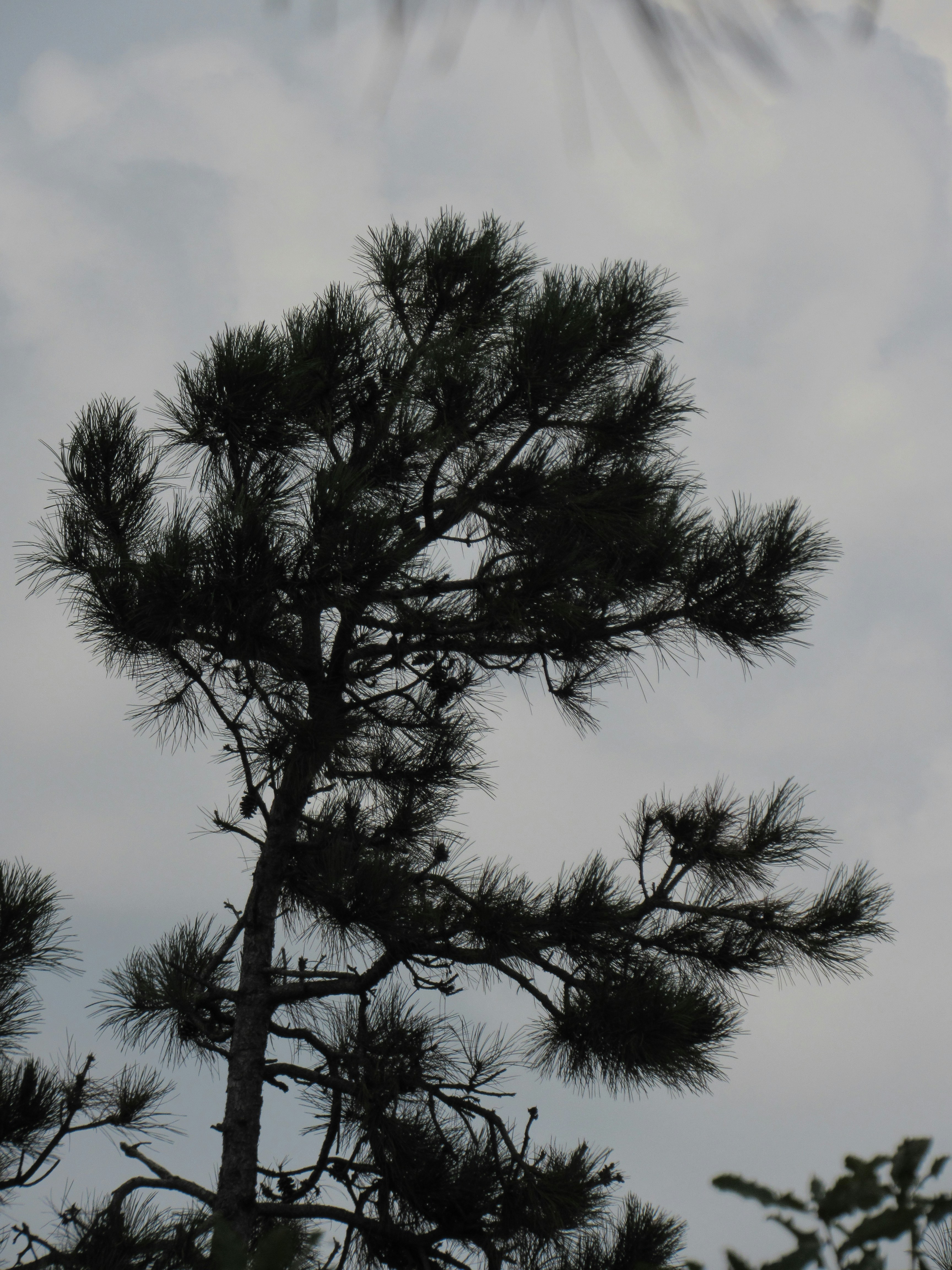 Photo by omarsabra64